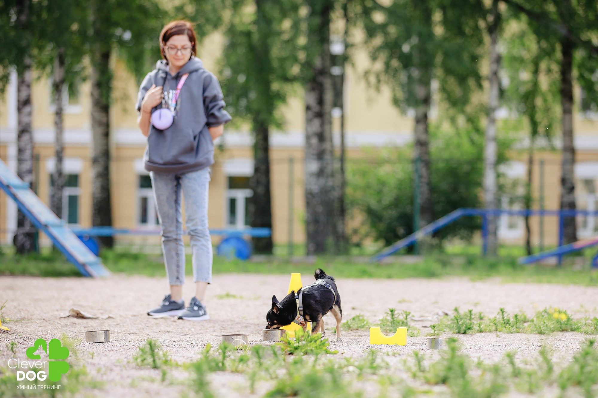 Семинар по поиску запаха с Иваном Ломовым, организатор CleverDog, СПб. Фотограф-анималист Mary Mart — Москва, Питер