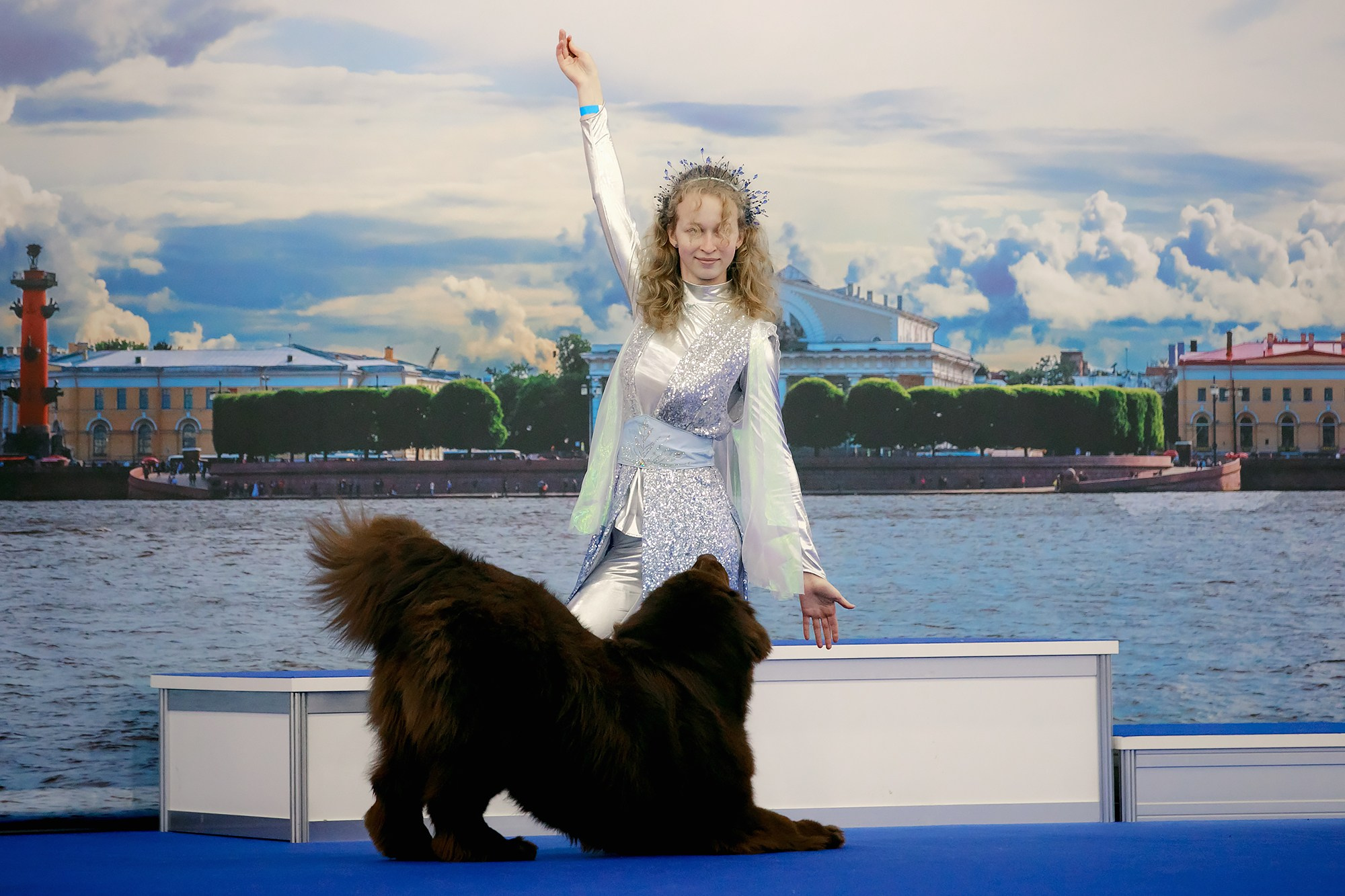 Танцы на выставке «Зоошоу», СПб. Фотограф-анималист Mary Mart — Москва, Питер