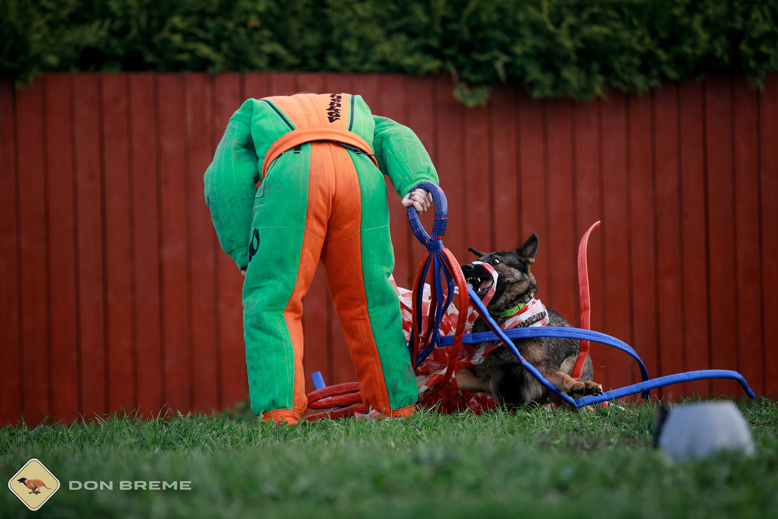 Семинар для фигурантов, день 2. Фотограф-анималист Mary Mart — Москва, Питер