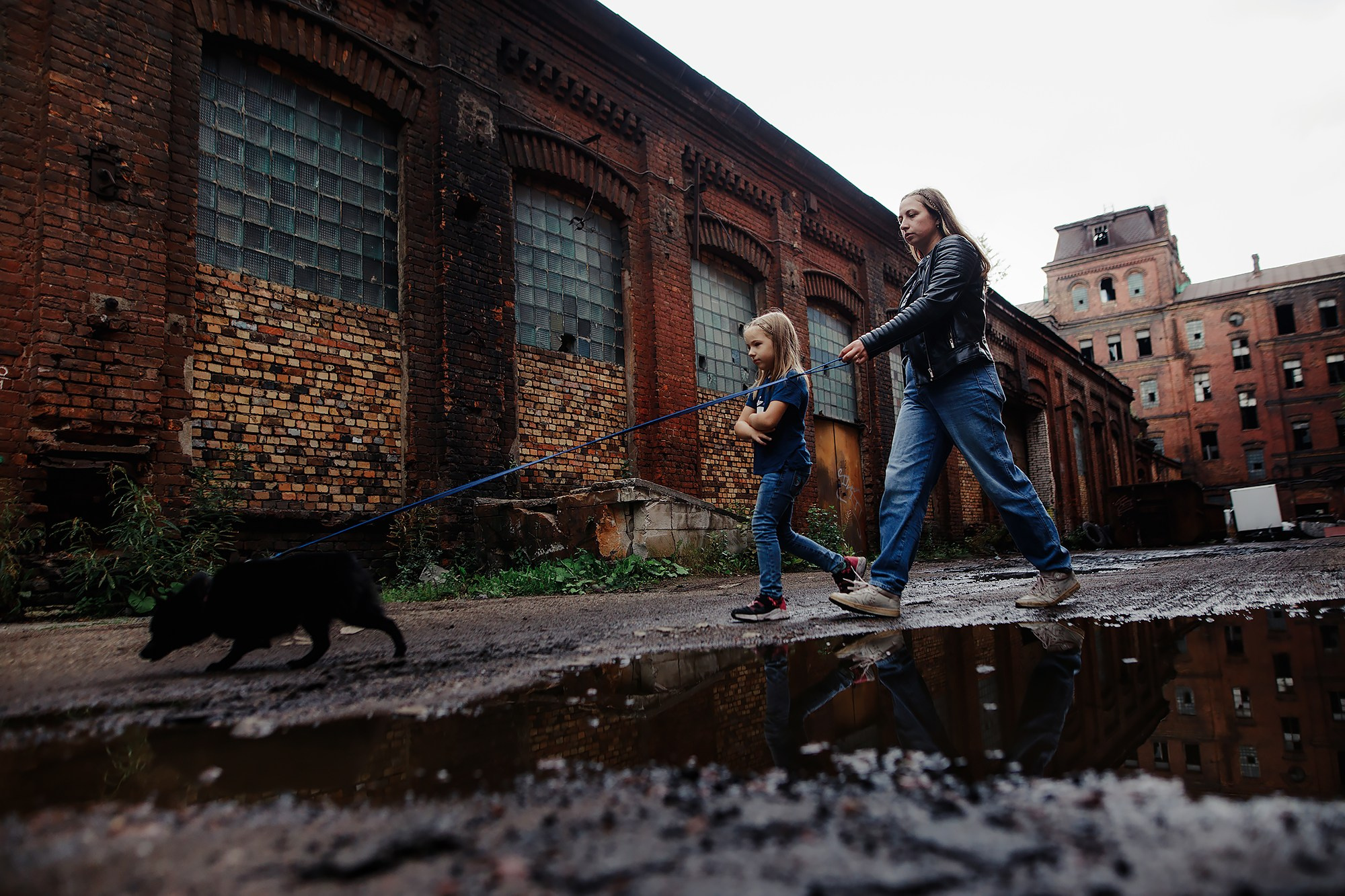 Саша, Маша и шипперке Йети. Фотограф-анималист Mary Mart — Москва, Питер