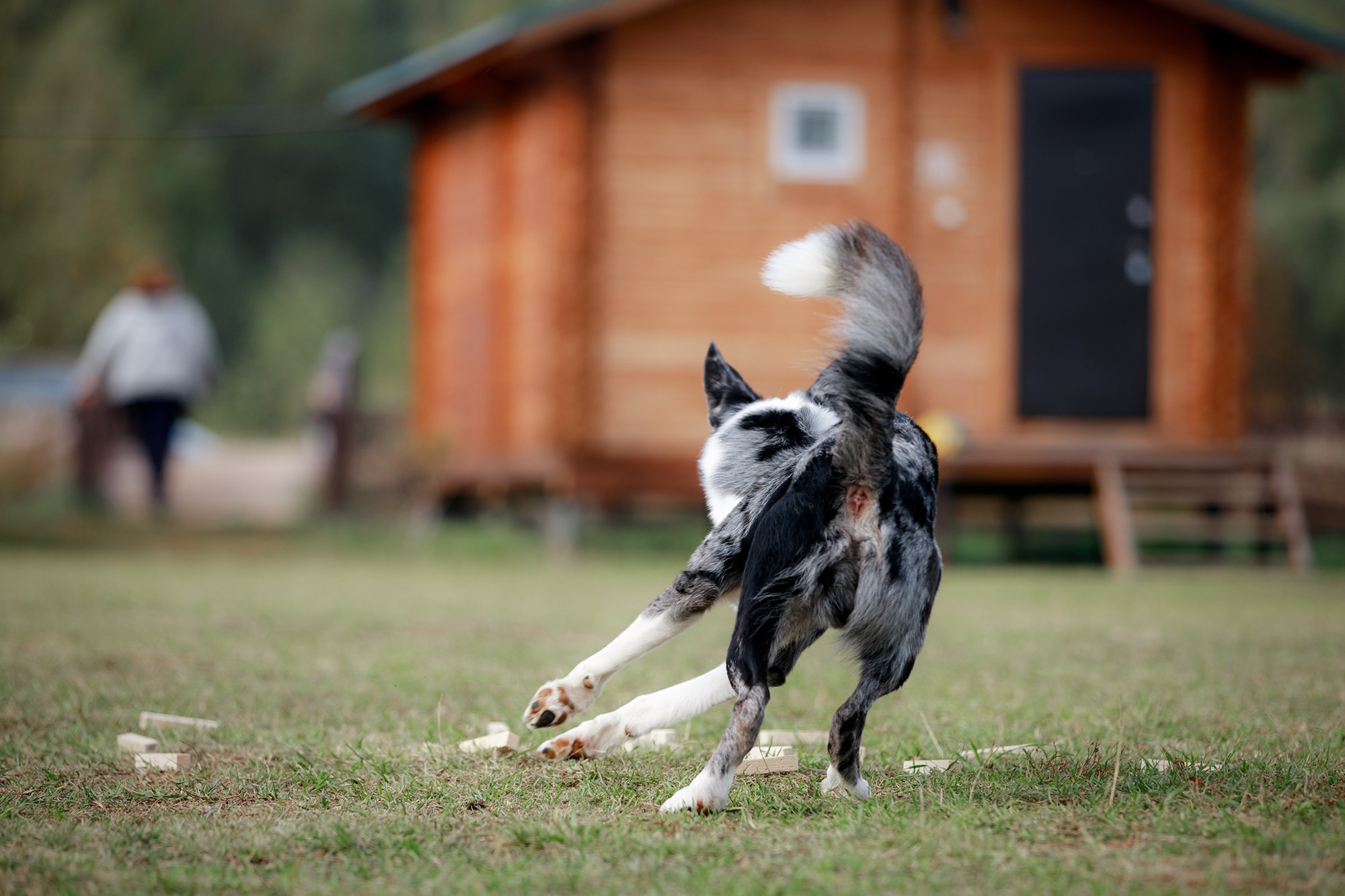 Лагерь по ОБД с Инной Баженовой. Фотограф-анималист Mary Mart — Москва, Питер