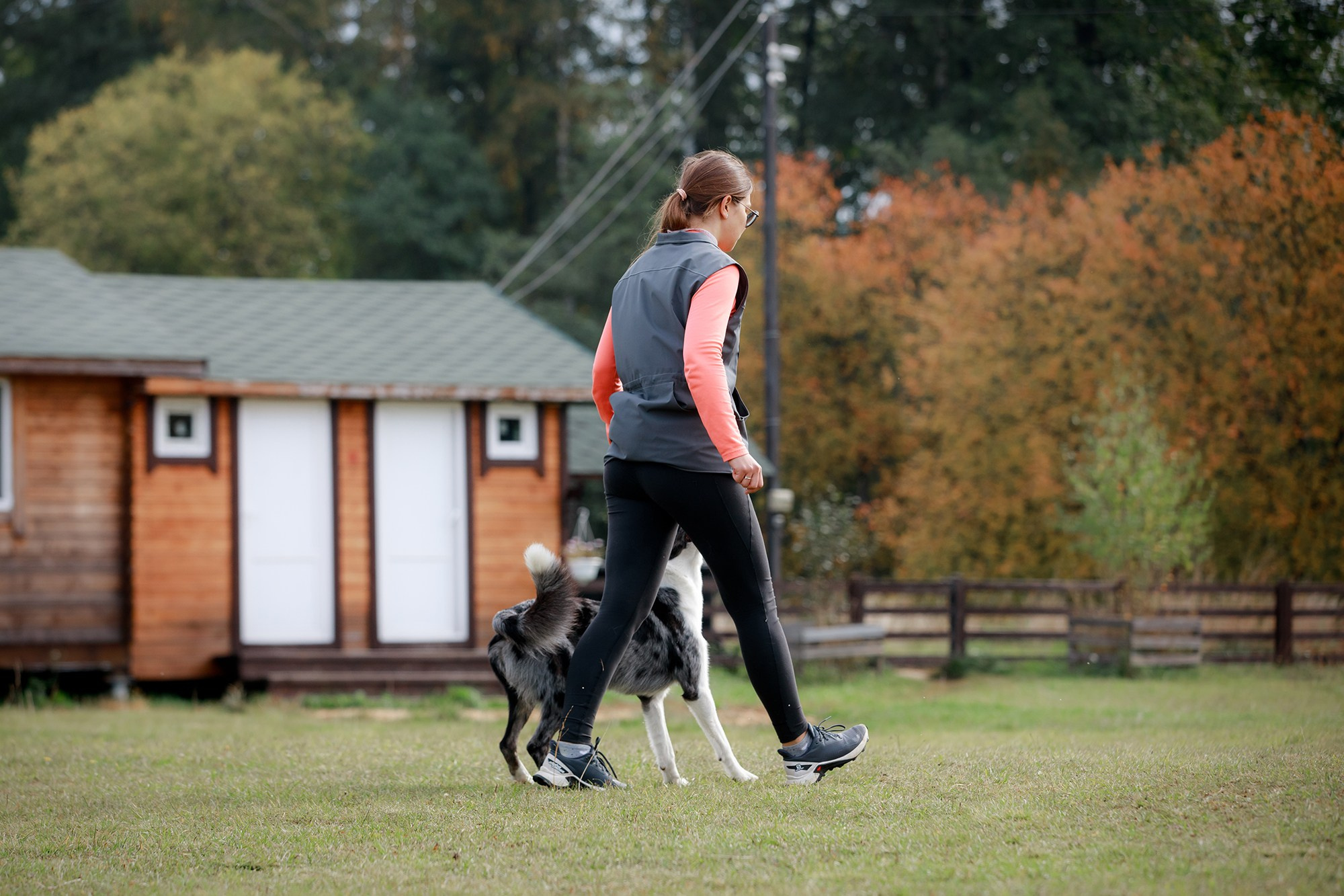 Лагерь по ОБД с Инной Баженовой. Фотограф-анималист Mary Mart — Москва, Питер
