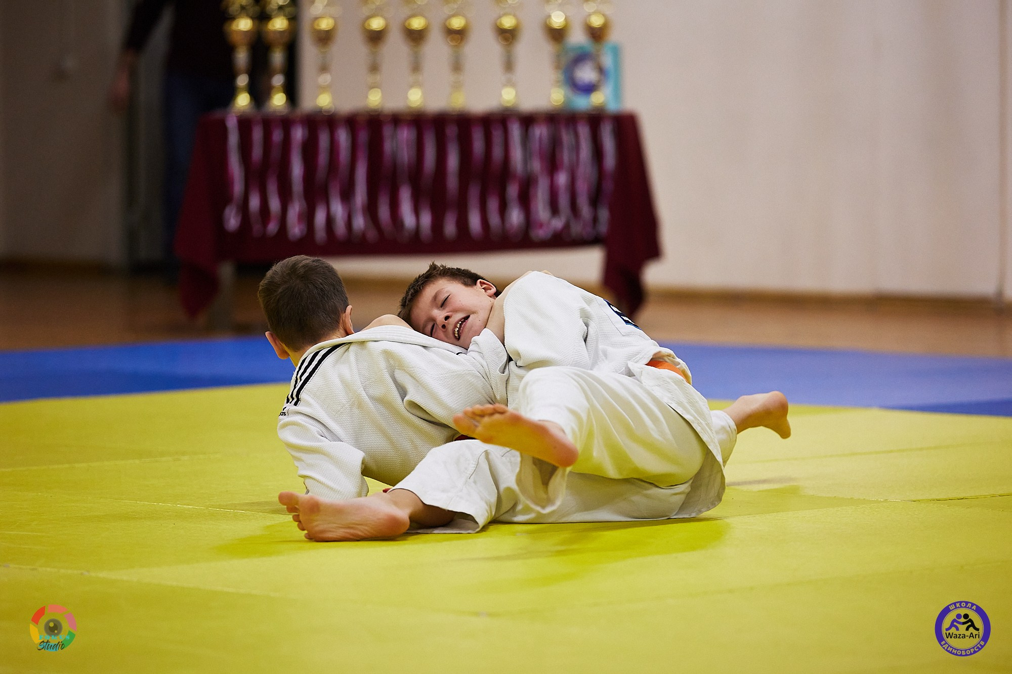 Репортаж Турнир по дзюдо. Спортивный фотограф Некрасов Денис