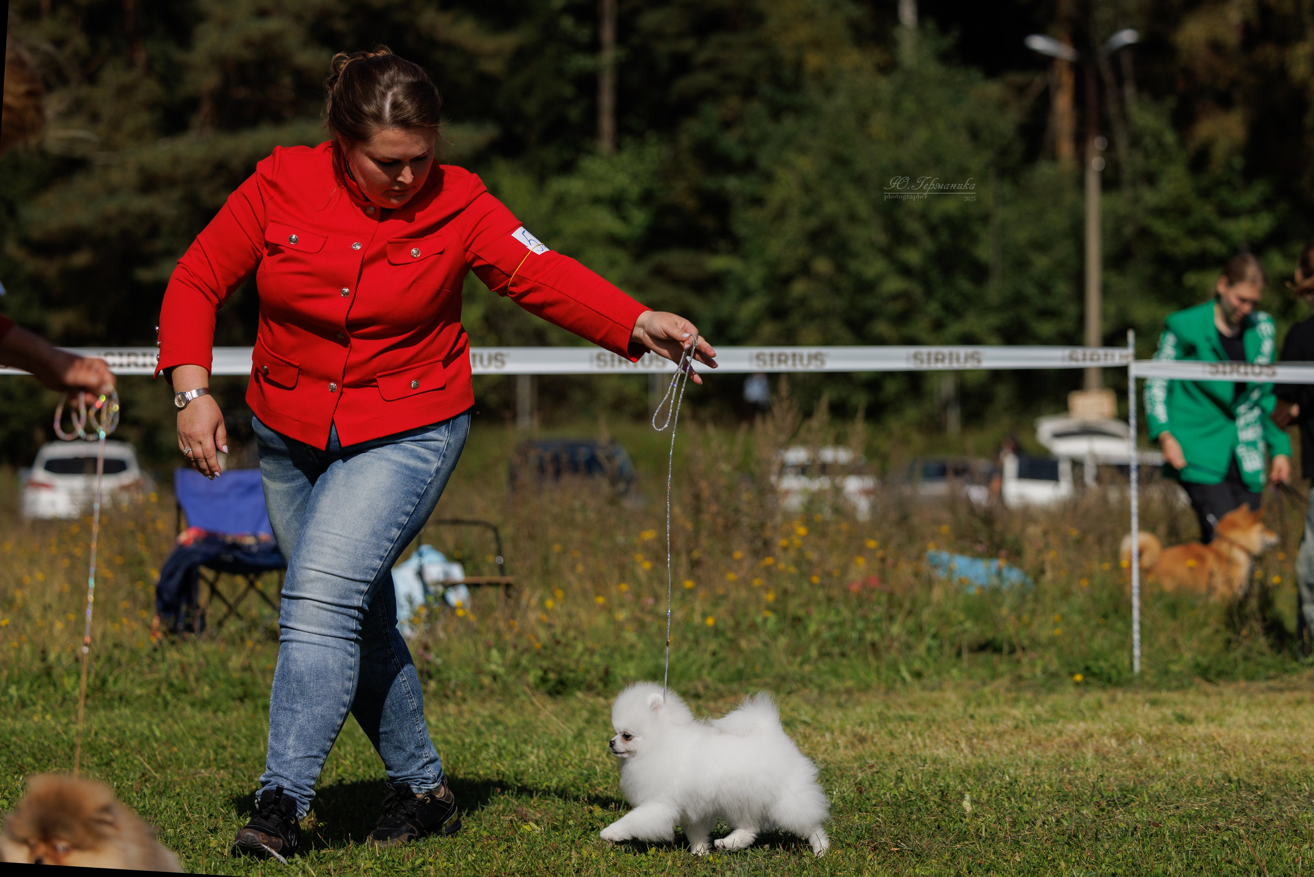 Зеленоград 13.09.2025. Фотограф-анималист Юлия Германика