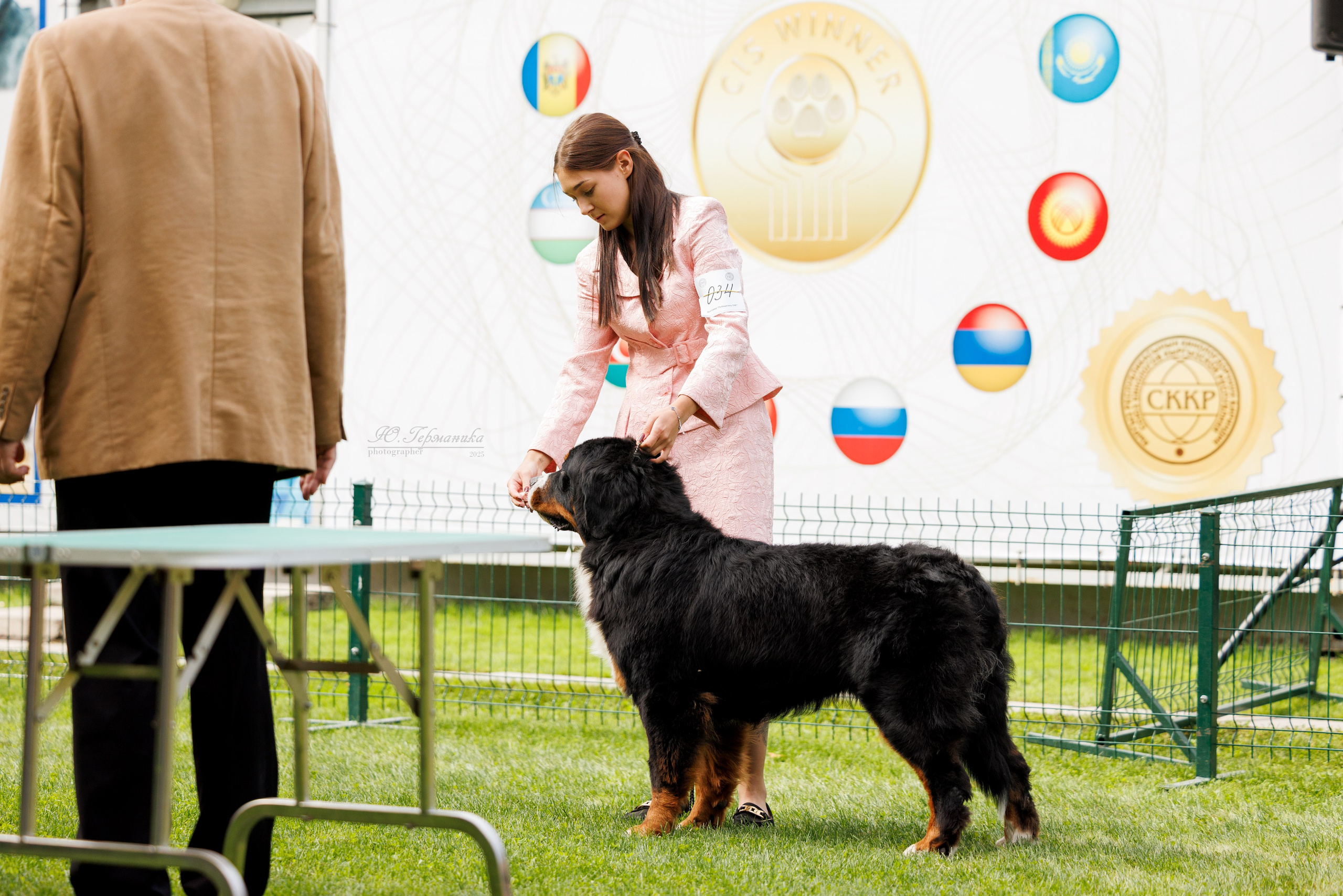 Бишкек 3х CACIB 26-28.09.2025. Фотограф-анималист Юлия Германика