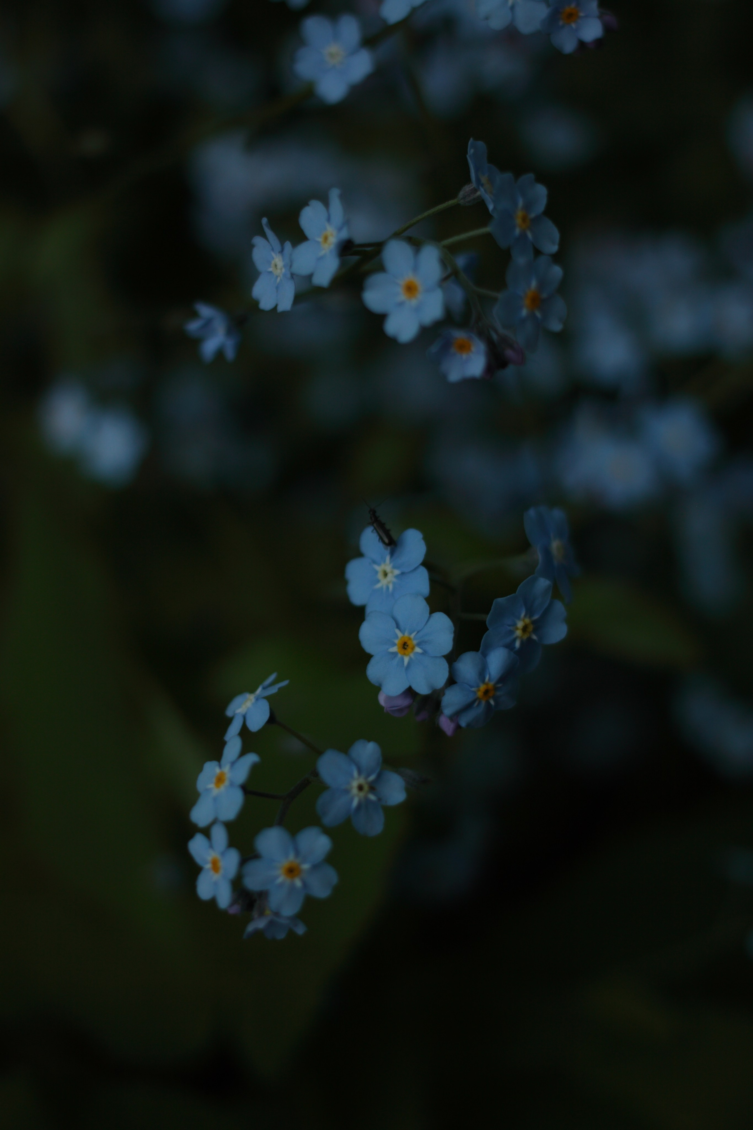 Старое природное, отбирала Katamount (Катерина Горохова). Главная