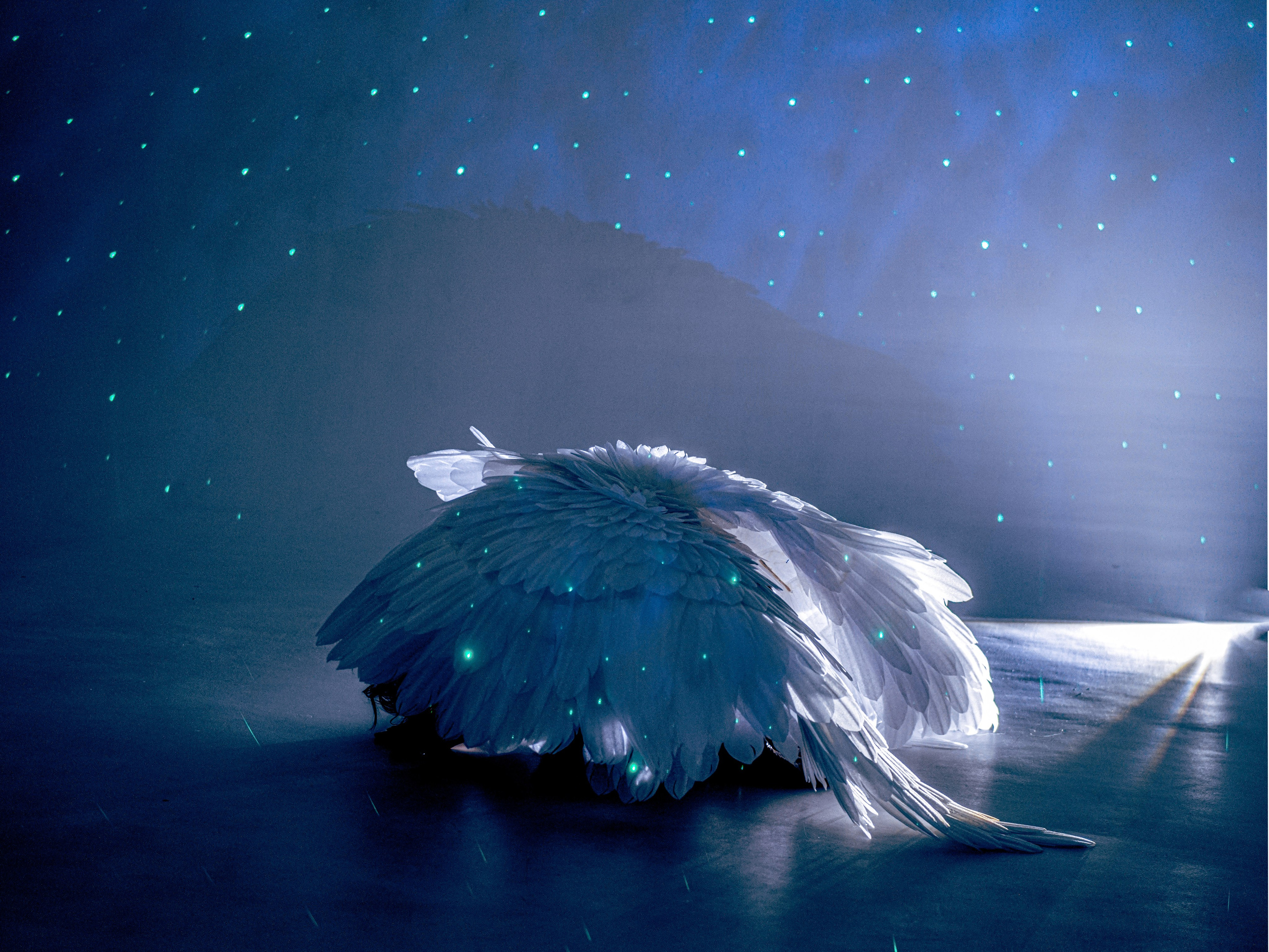 Ангел. Творческий фотограф Ирина Баландина.  Санкт-Петербург, Мурманск