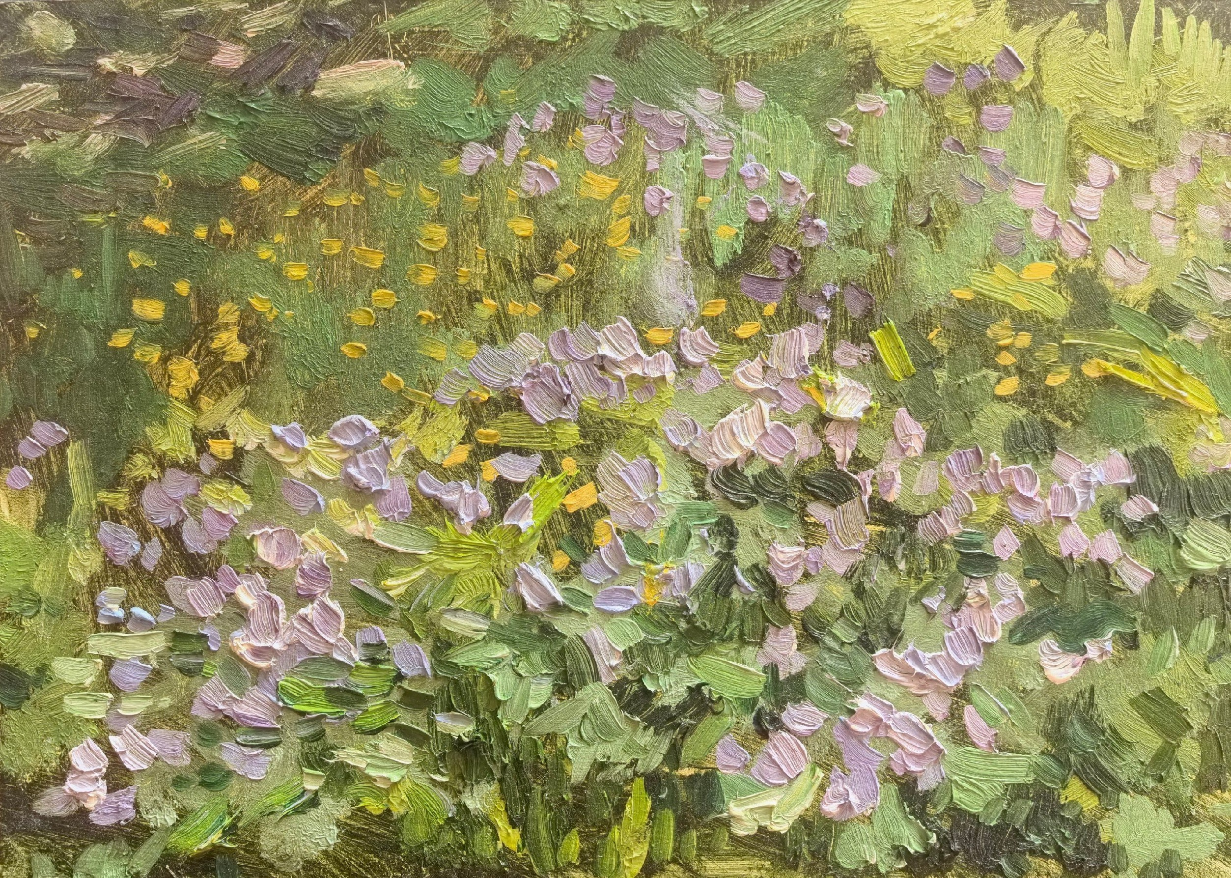 Этюды Камчатка. Художник и гид по Камчатке Евгений Чайкин