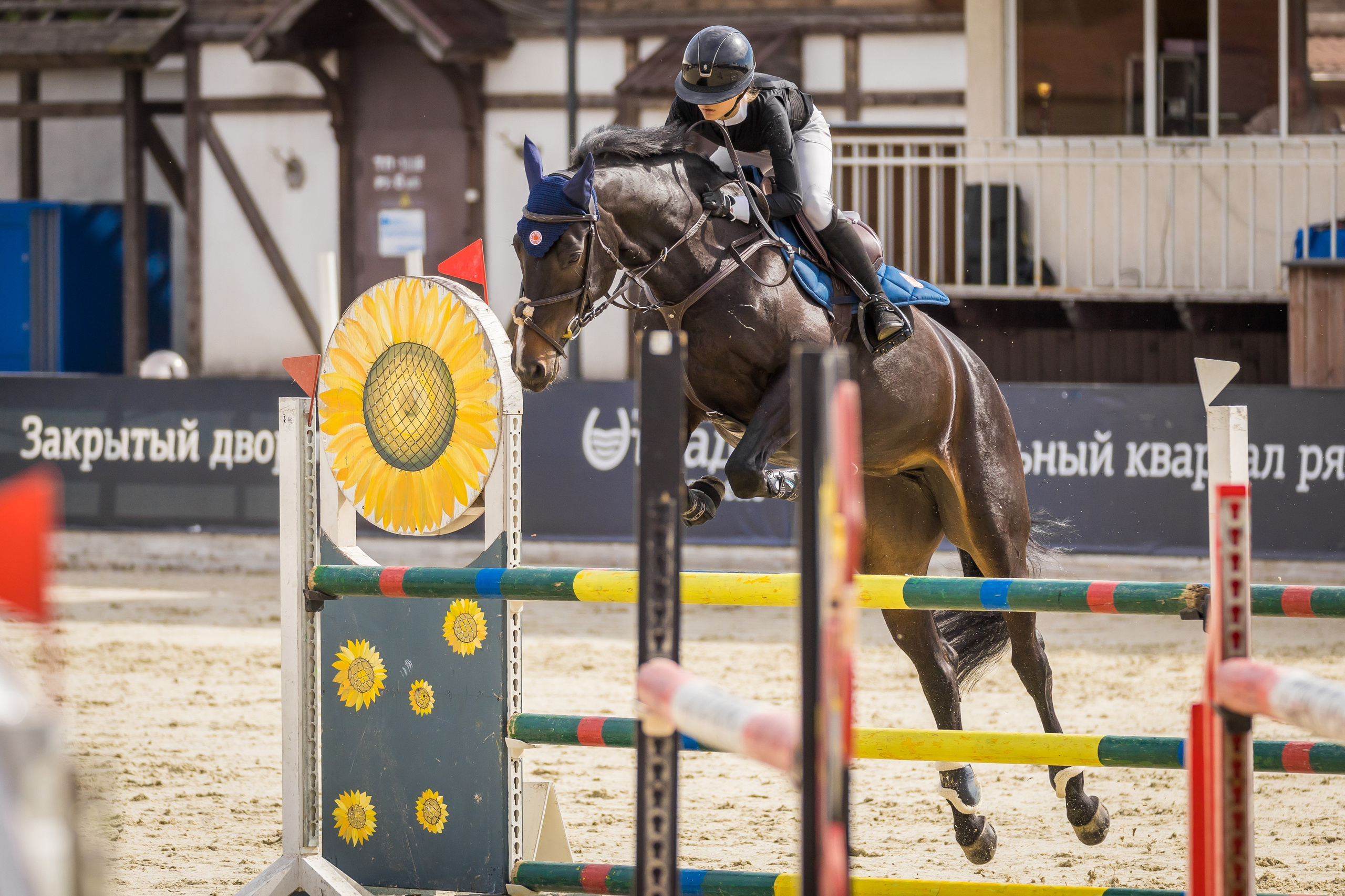 Конный спорт. Photomantis