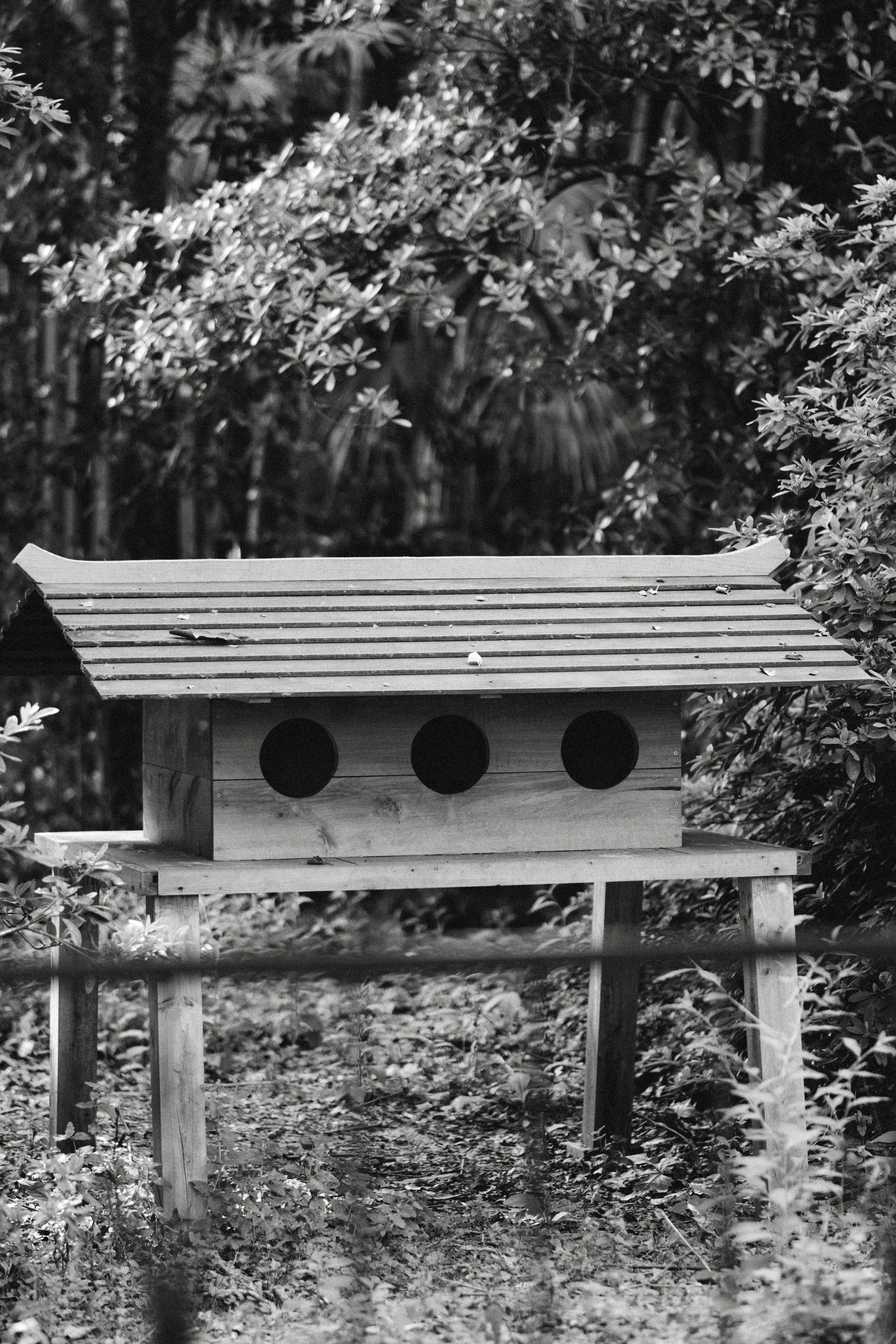 Maksim. Портретный фотограф в Сочи