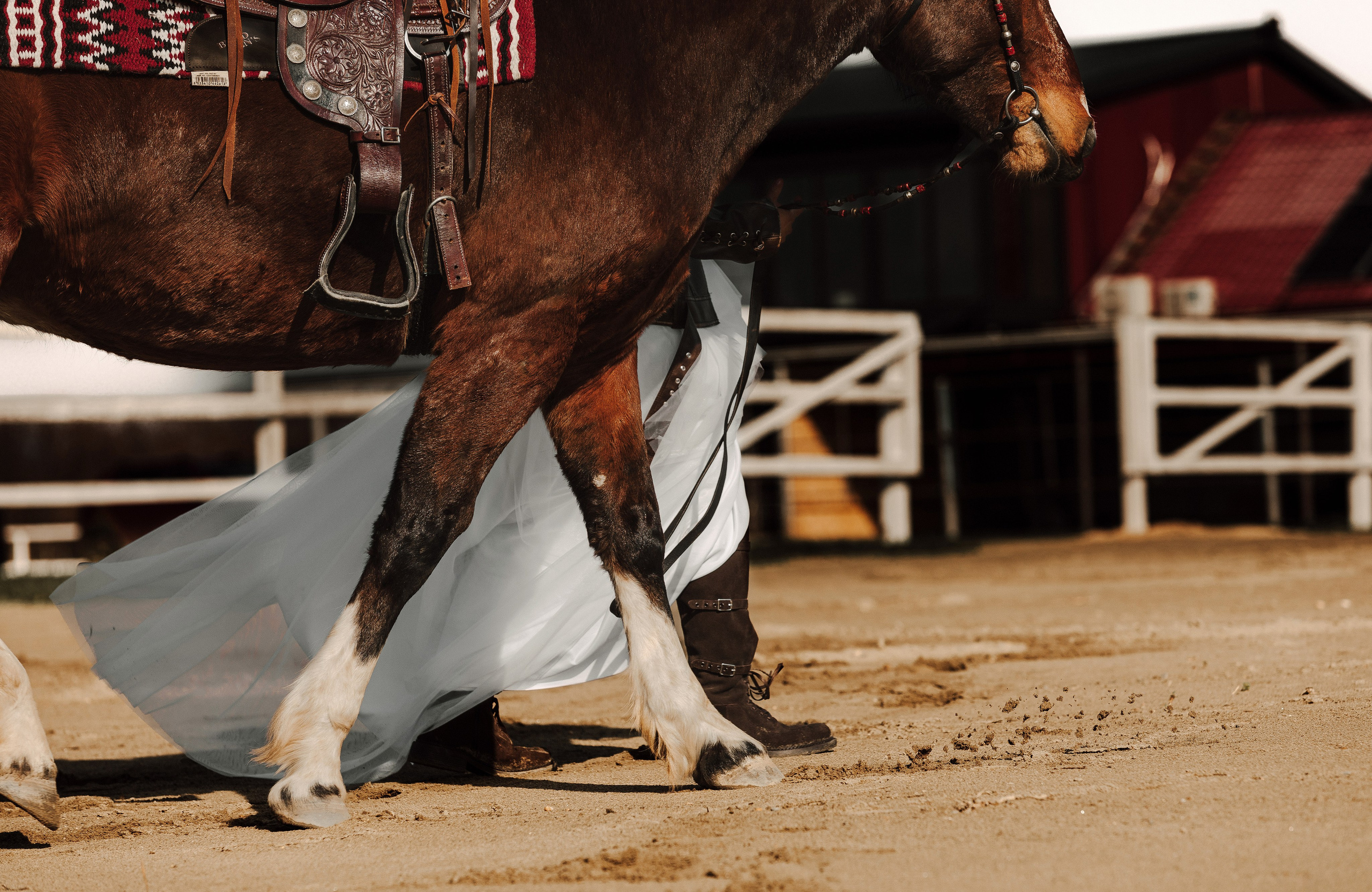 Western fashion. Конный и театральный фотограф Анапа