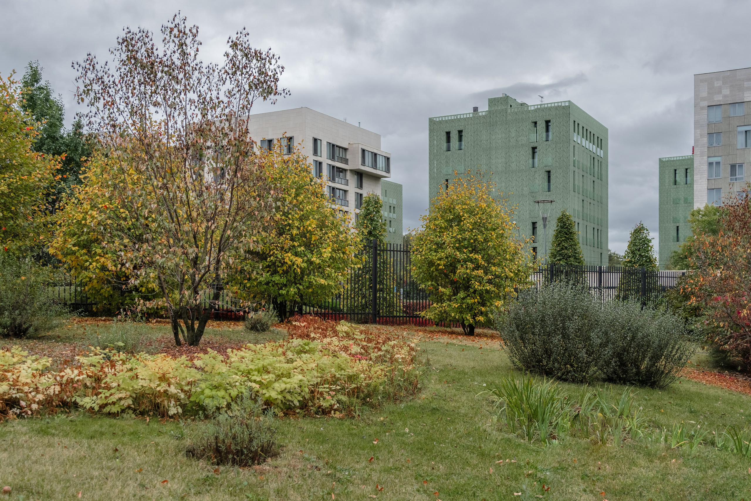Skolkovo Park. Артамонов Александр | Архитектурный и ландшафтный фотограф