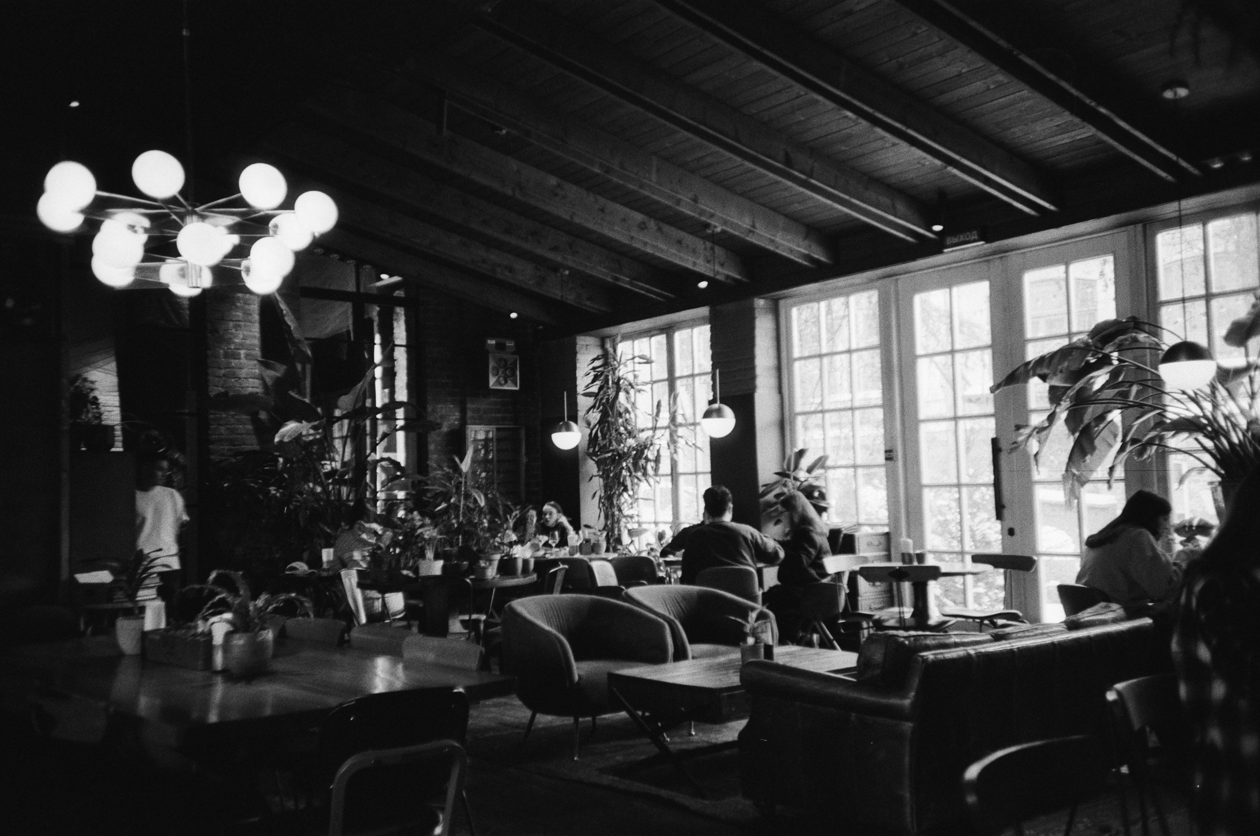 Grain. Artem Khusainov