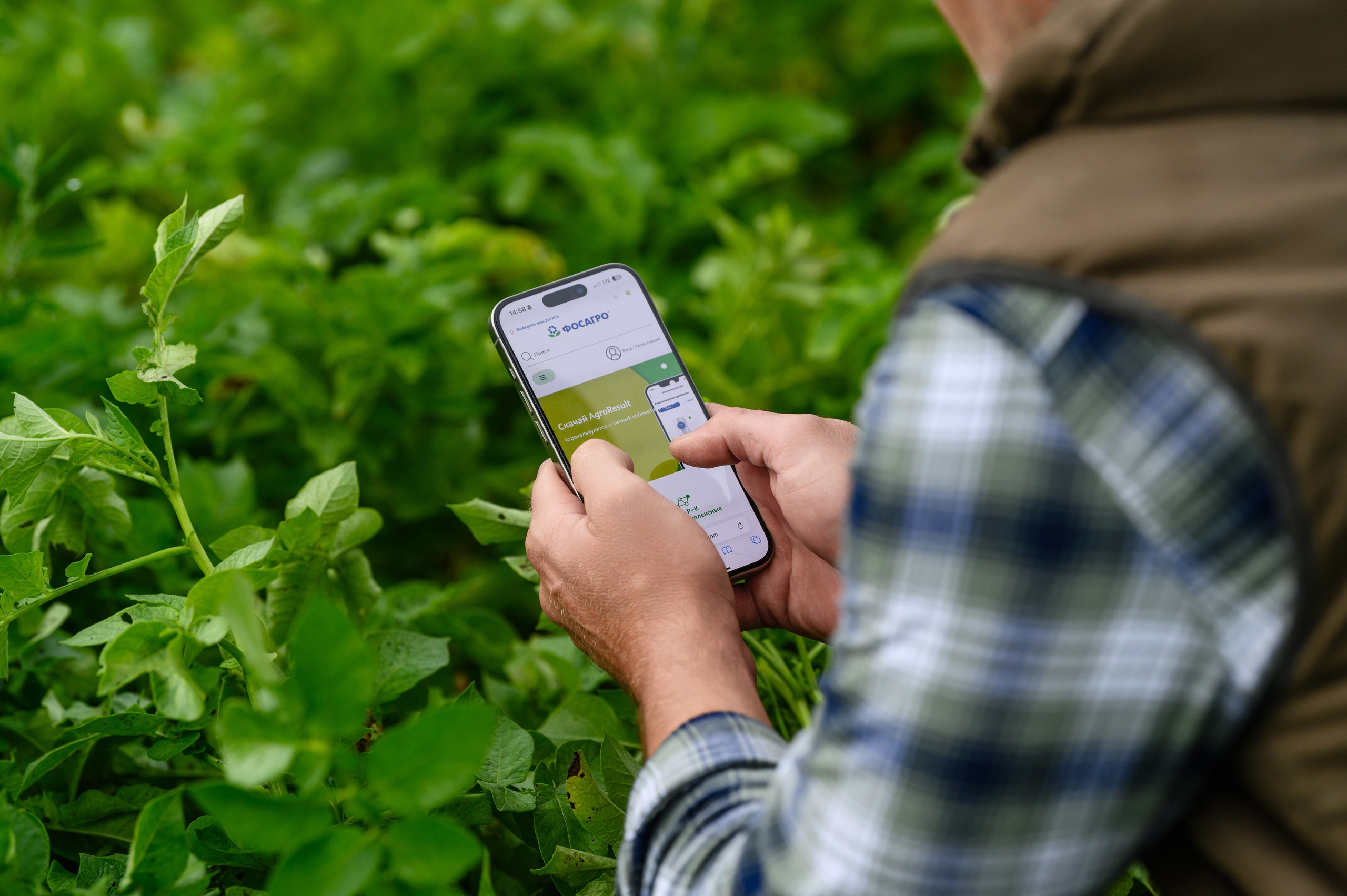 Проекты. Профессиональный фотограф Вячеслав Плацында | Липецк |