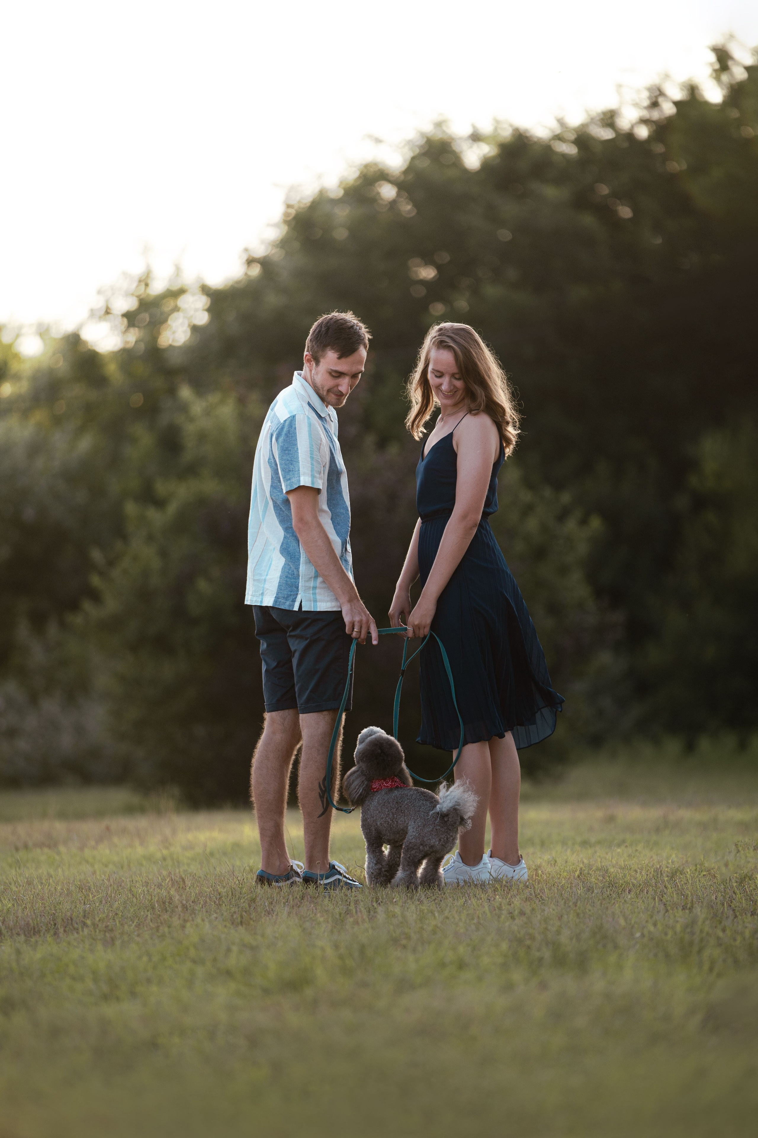 В Белграде на набережной. Фотограф анималист