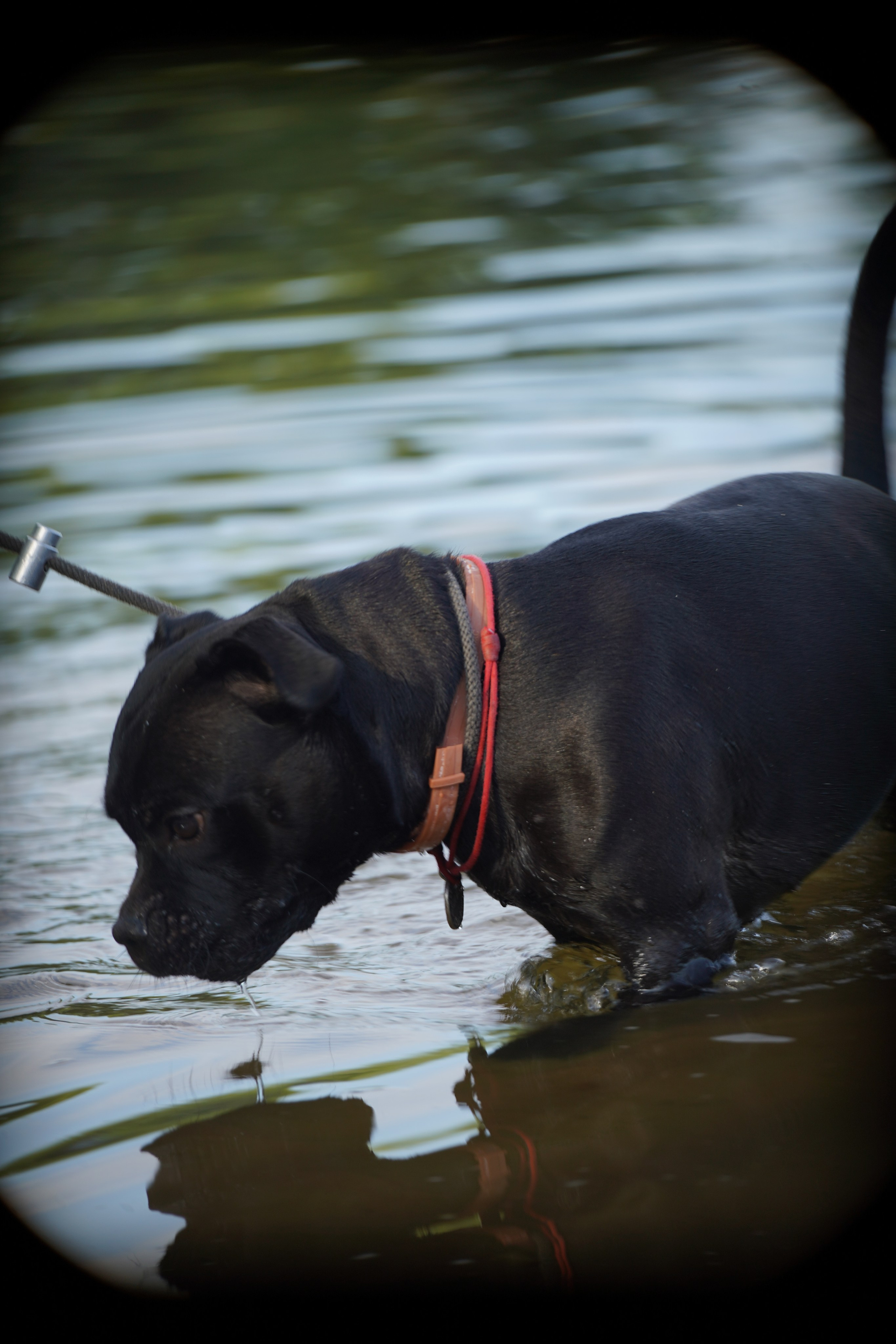 Сёрфинг в Саратове!. Фотокрыжовник. Снимаем, дружим, путешествуем