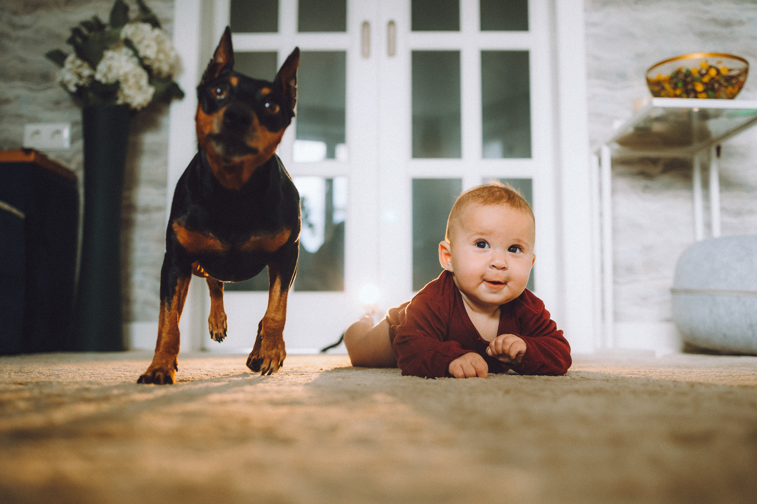 Топик и его семья