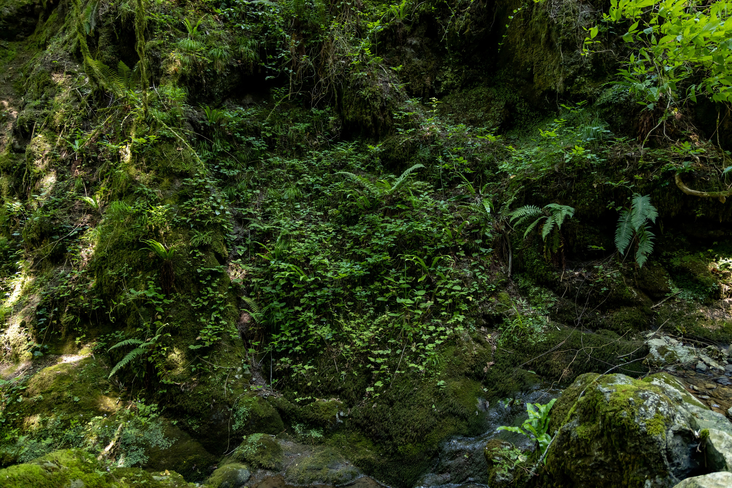 Сочи. Солох Аул. Репортажный, семейный и студийный фотограф в Москве Демин Алексей