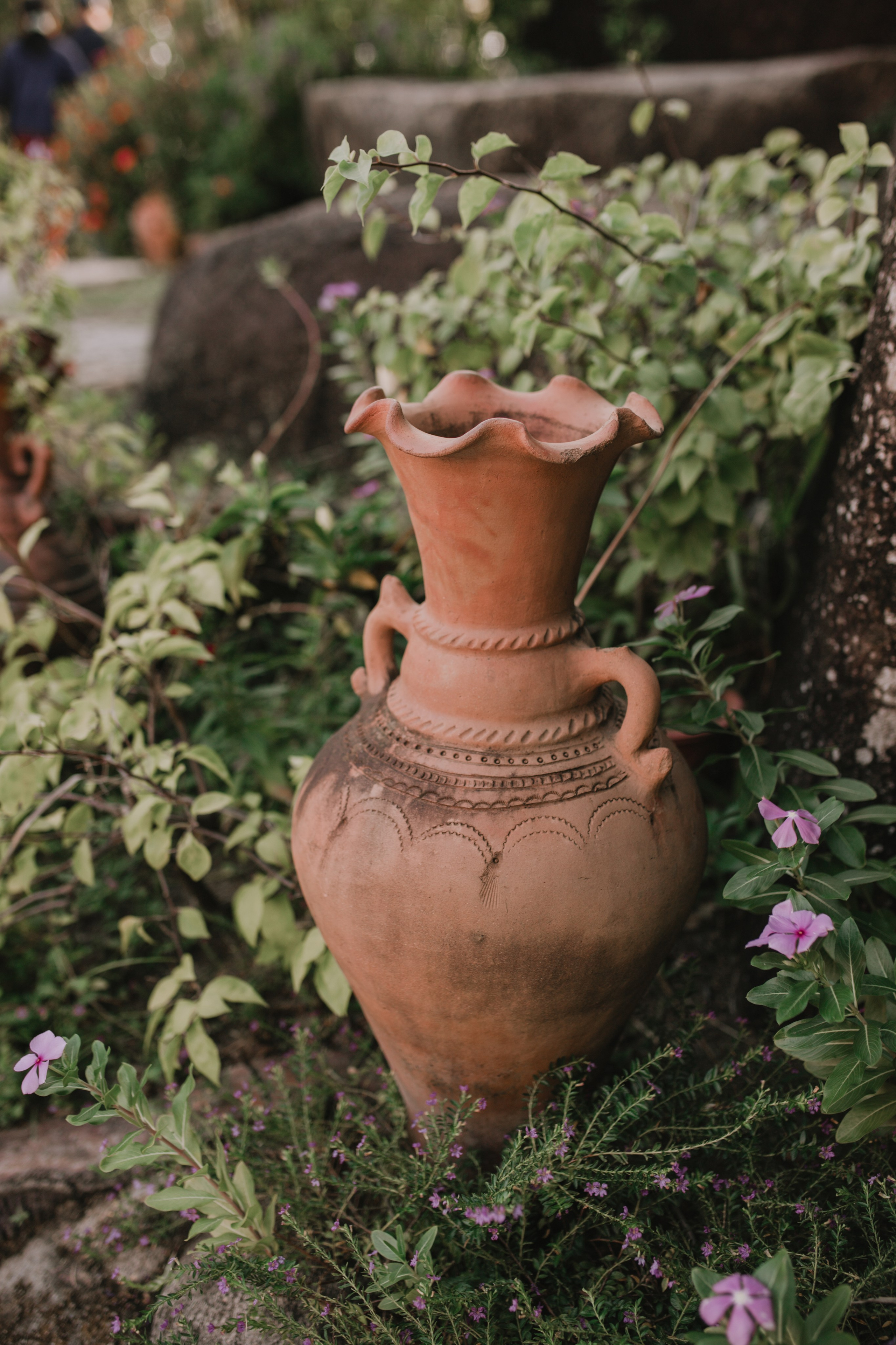 Елизавета на улицах Вьетнама. Главная