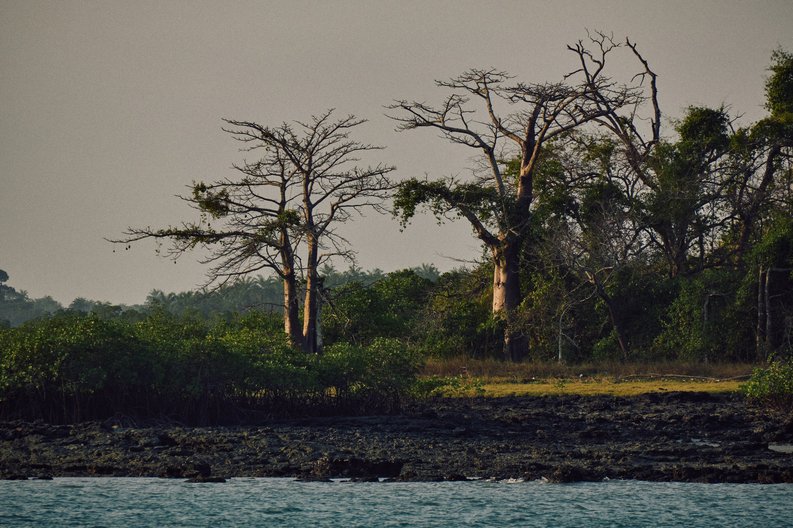 Guinea-Bissau. See the moment and catche. commercial and reportage