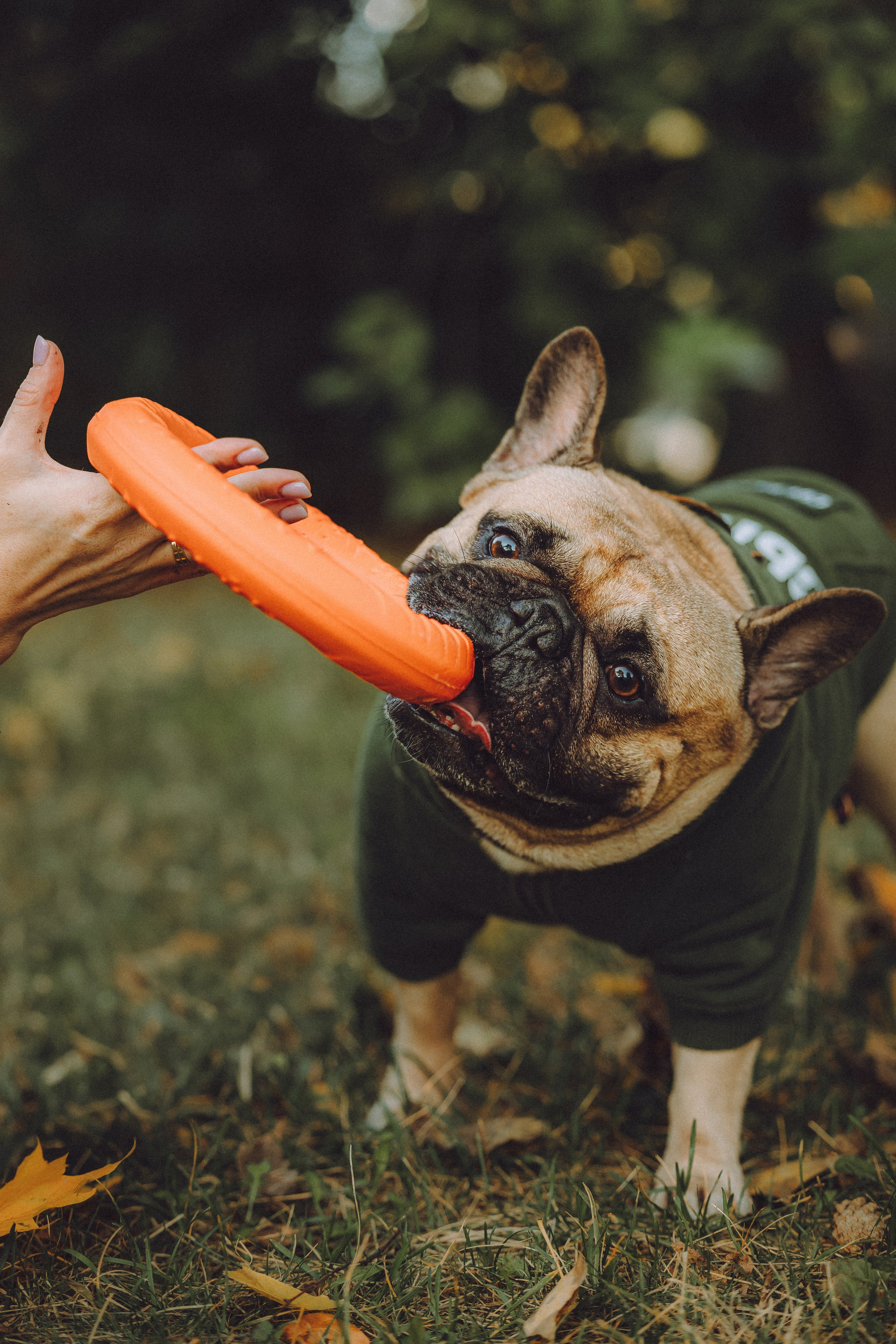Настя, Женя и Хонор