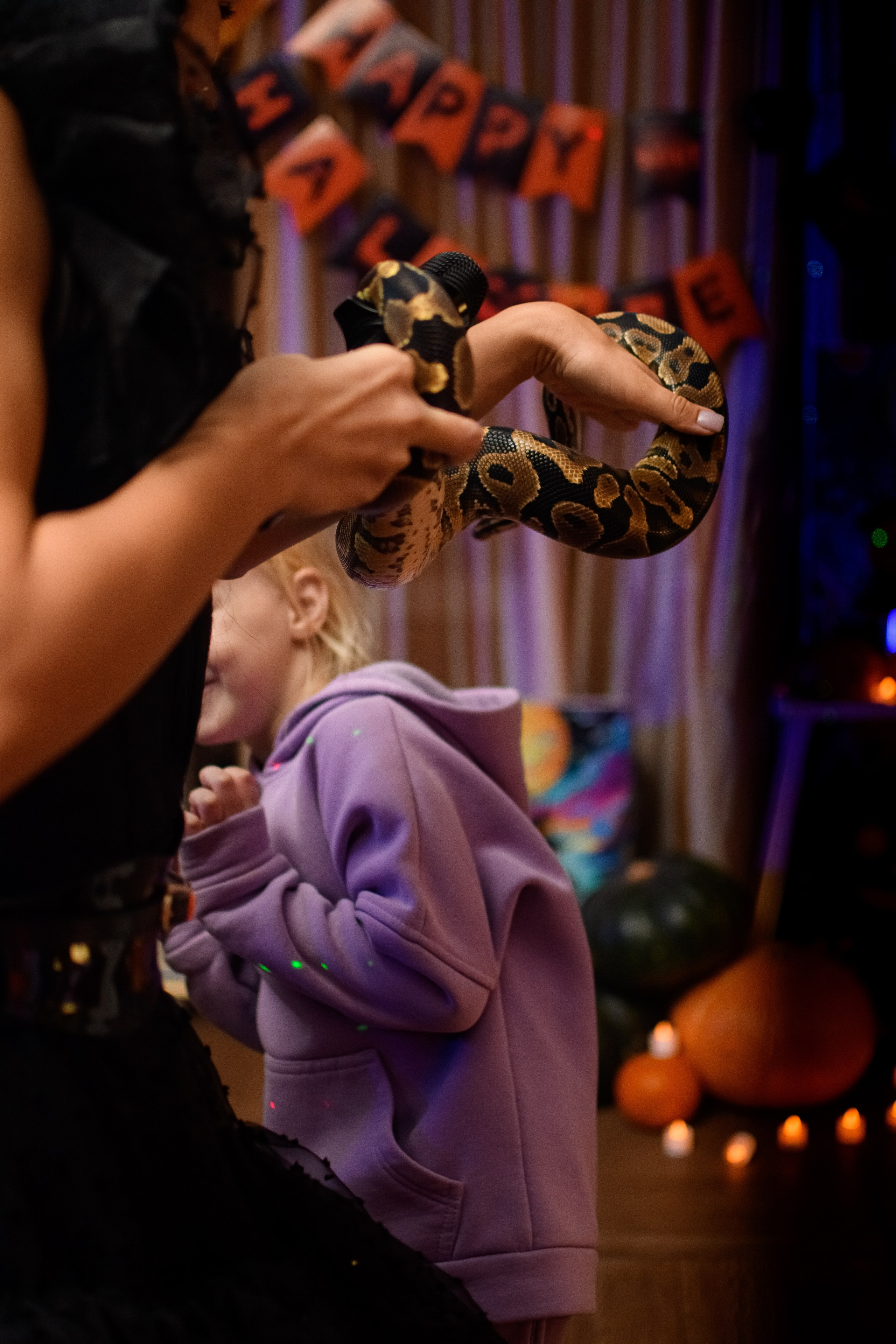 HALLOWEEN. Photokarish