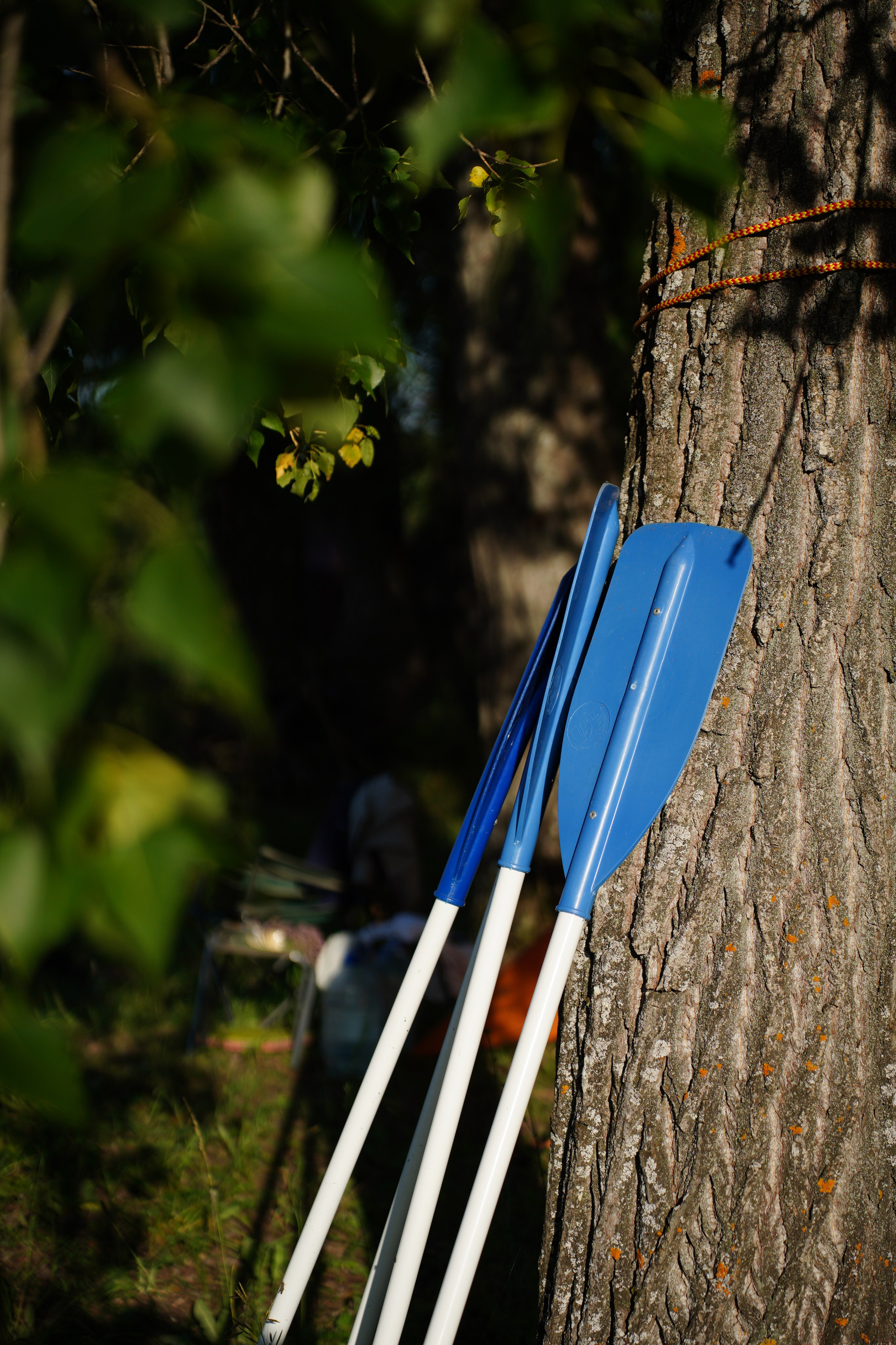 3-ех дневный сплав по «Уфимке». Pupov.png