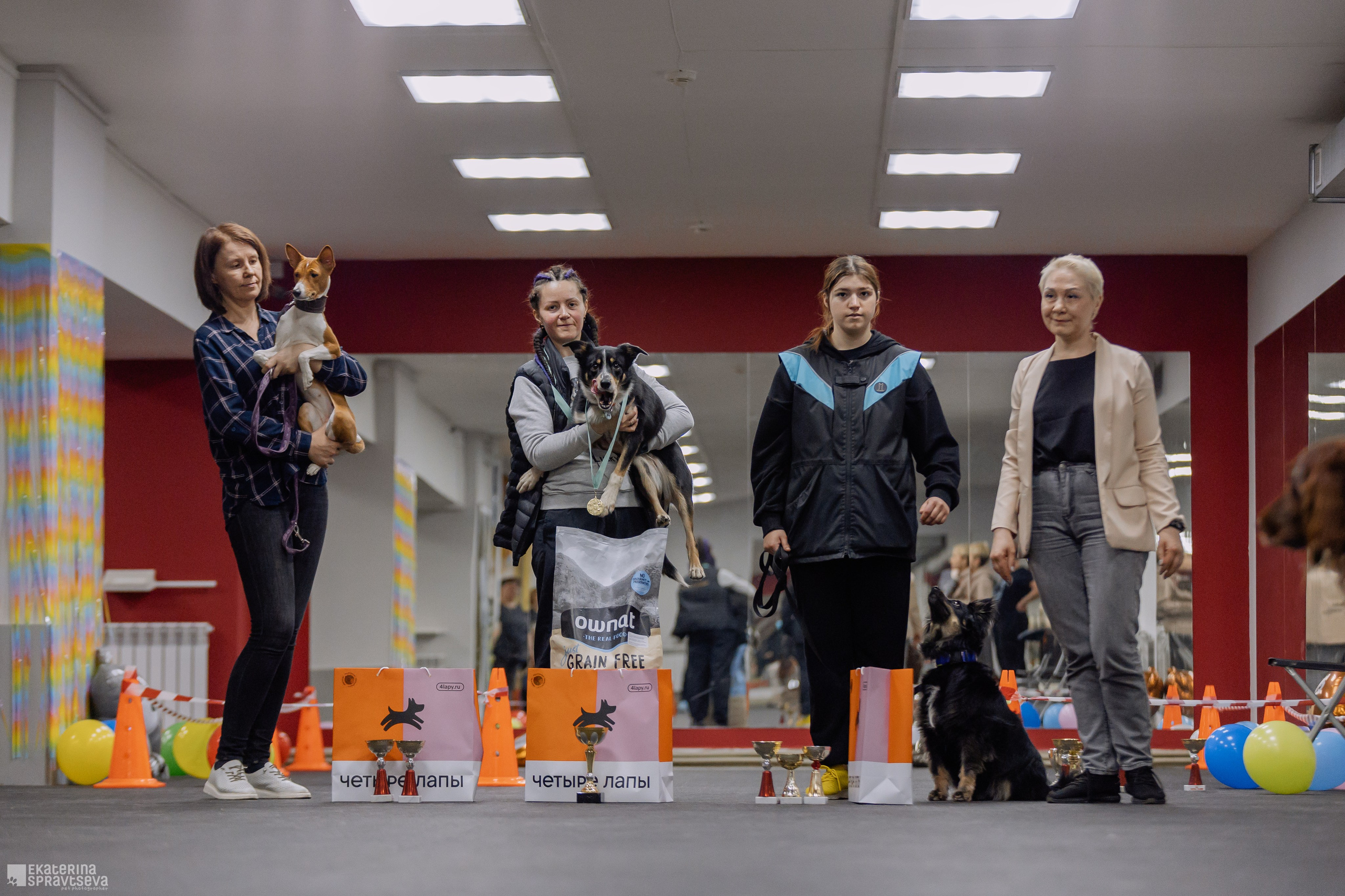 Праздник NoseWork. Фотограф Анималист Екатерина Справцева в Нижнем Новгороде