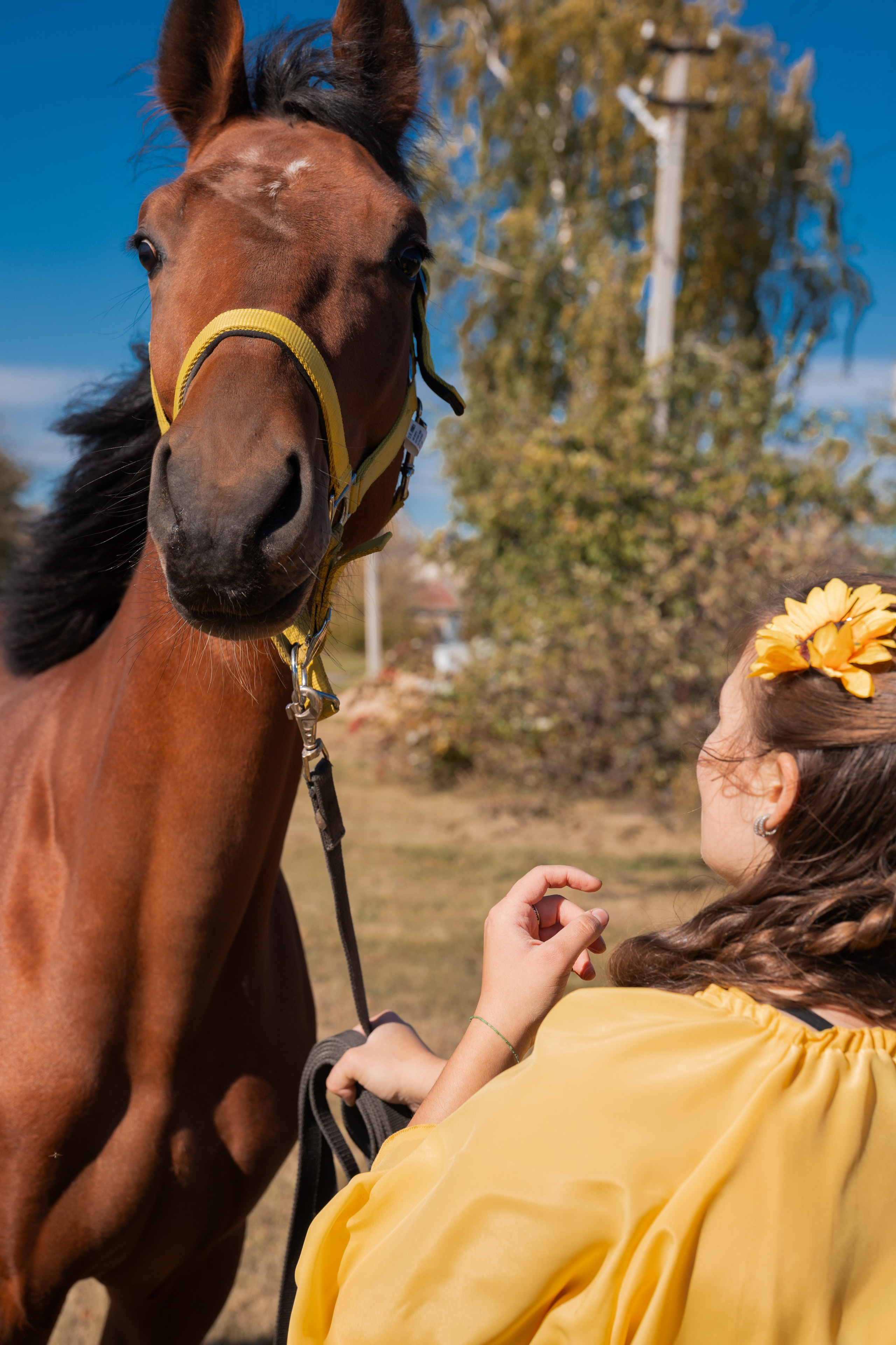 Фотосессия с лошадьми