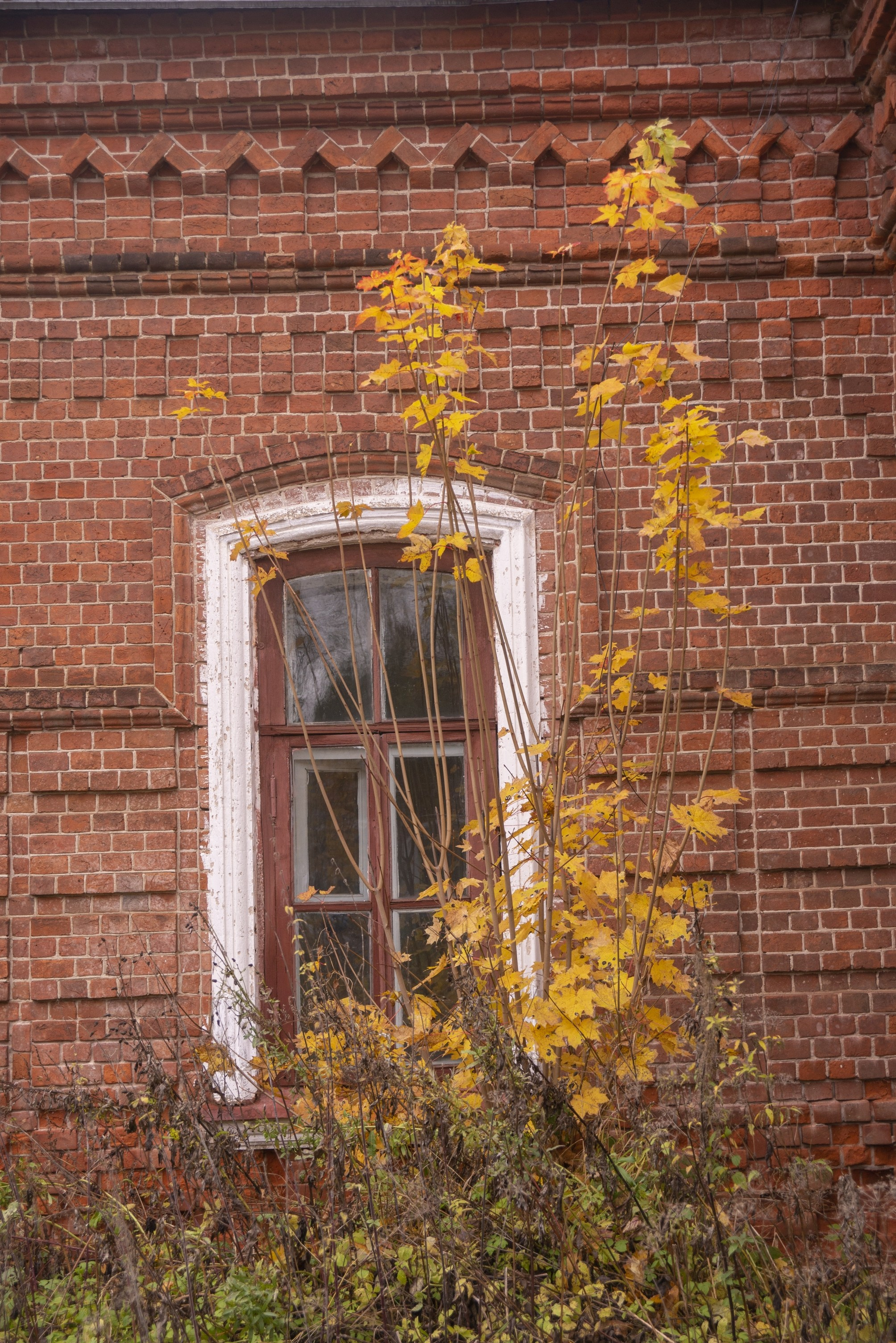 Плес. Октябрь 2023. Игорь Жучков. Россия увиденная глазами путешествующего фотографа