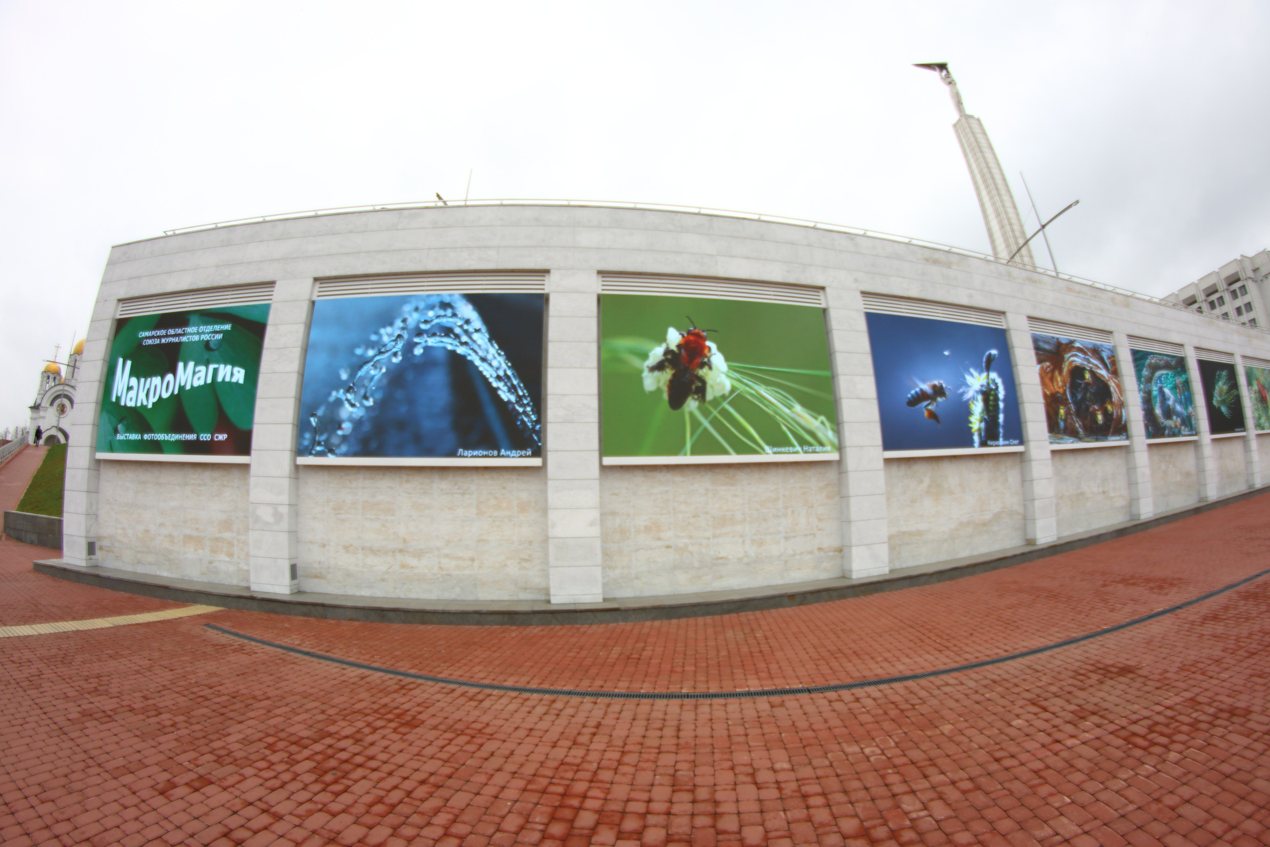 03.10.2021 Выставка «МакроМагия». Фотообъединение Самарского областного отделения Союза журналистов России