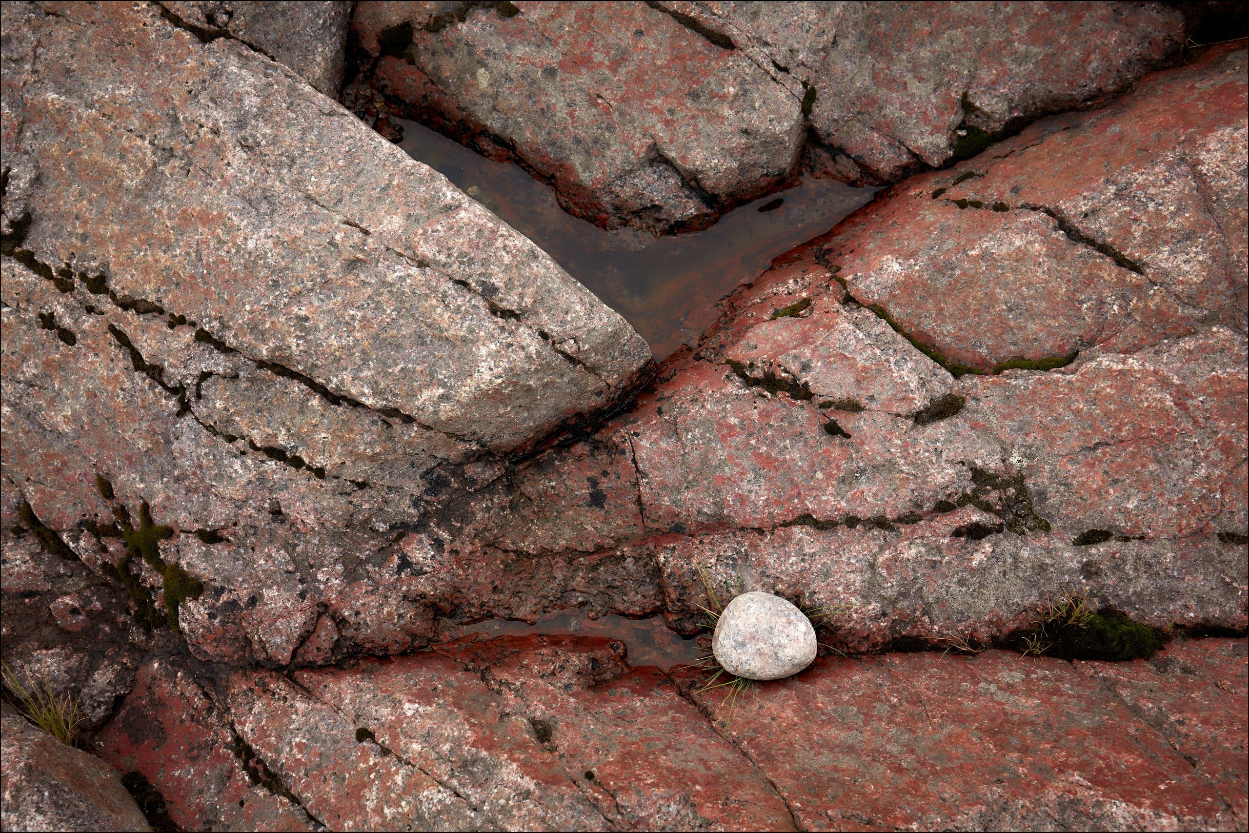 Фрагменты реальности. Природа. Фотообъединение Самарского областного отделения Союза журналистов России