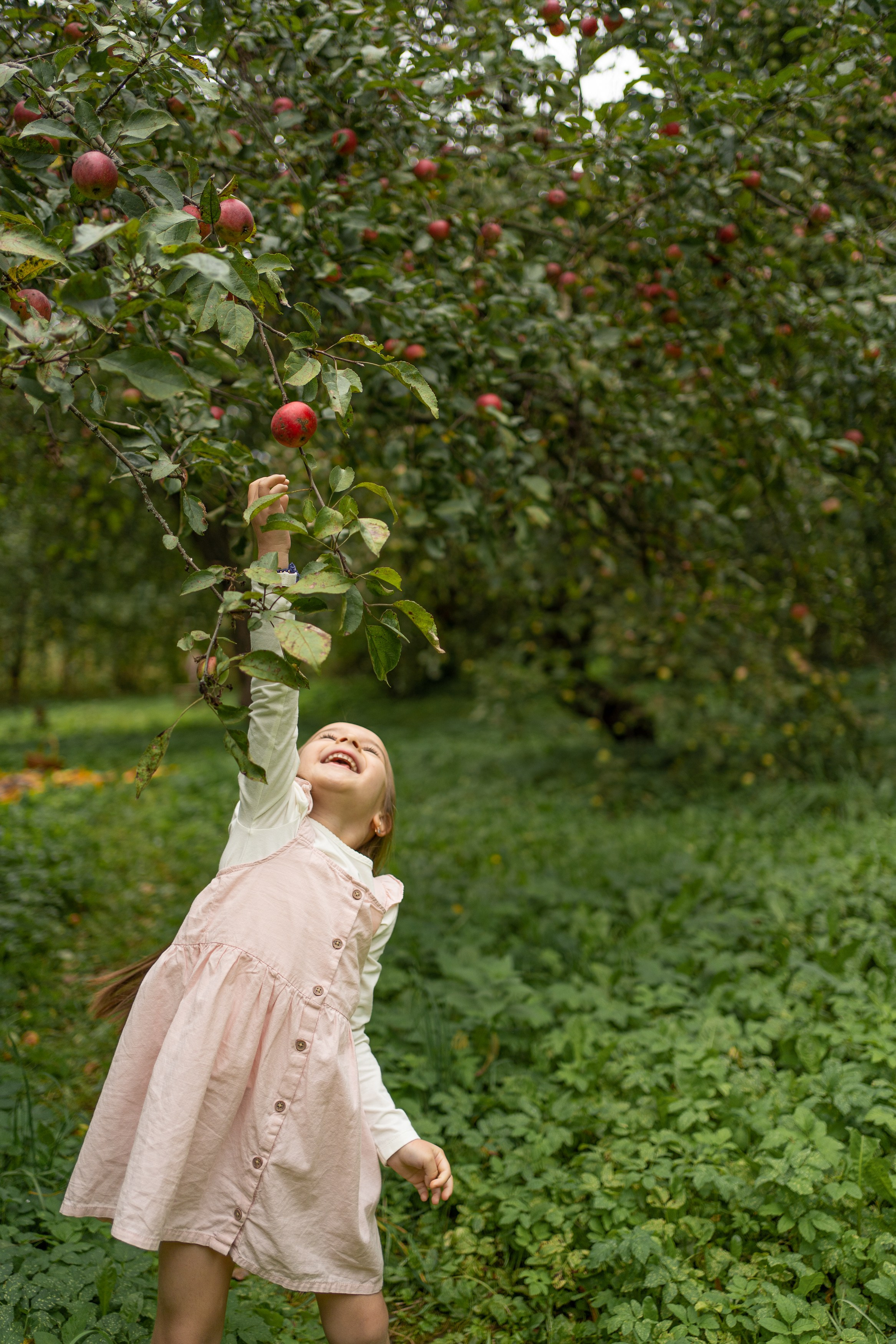 Осеннее ожидание. Главная