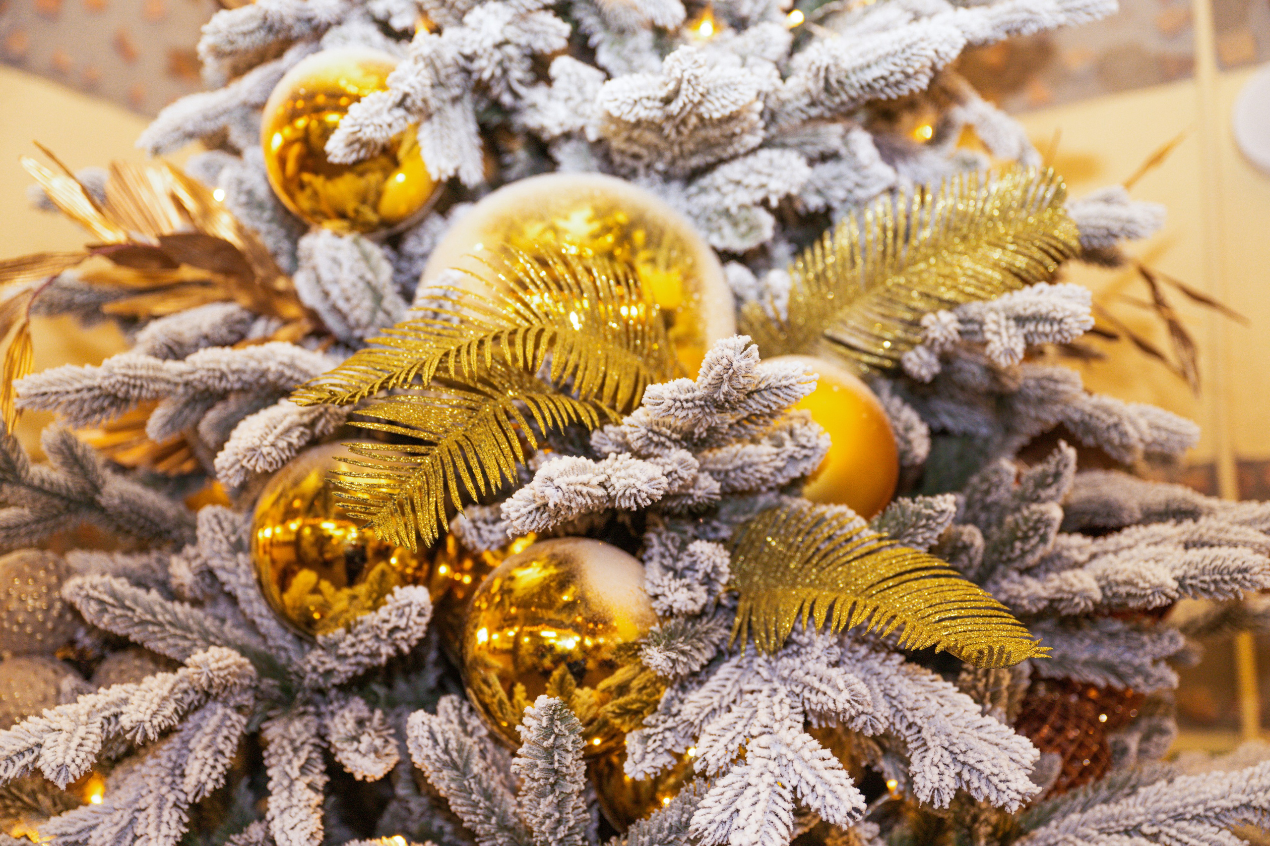 Контент и предметная съемка. Реклама. Бизнес. Студийный и свадебный фотограф и видеограф в Севастополе — Юлия Макаренко