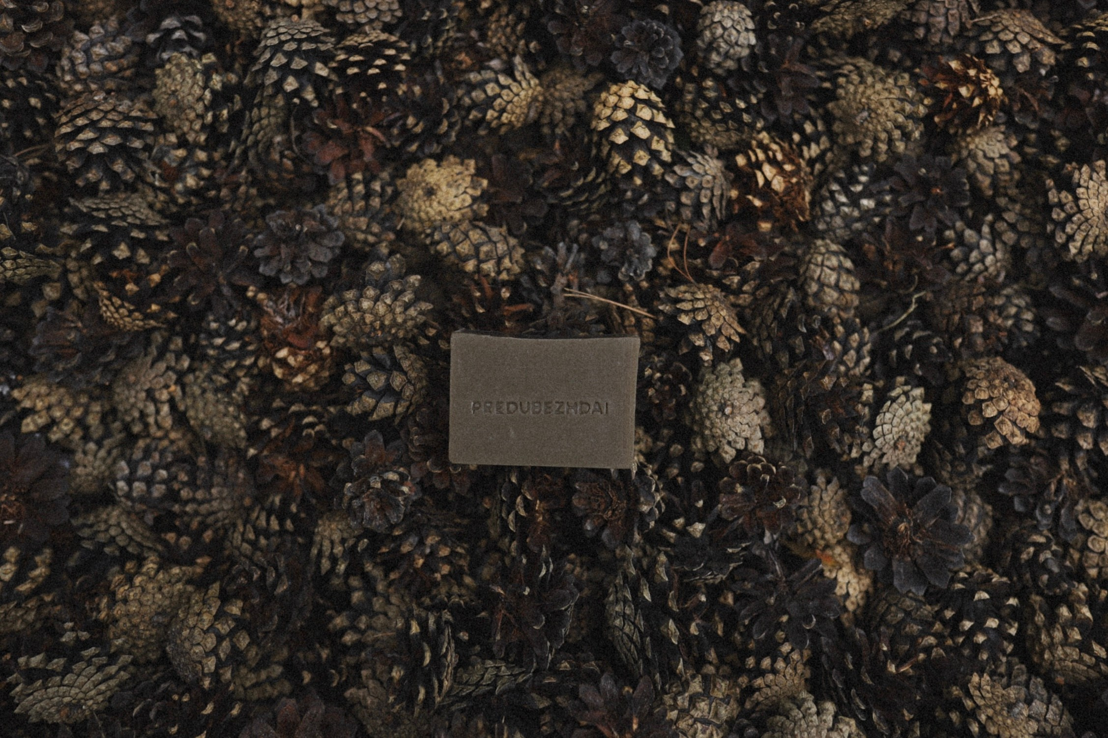 PREDUBEZHDAI. Контент-фотограф для брендов и личных блогов Полина Аверьянова