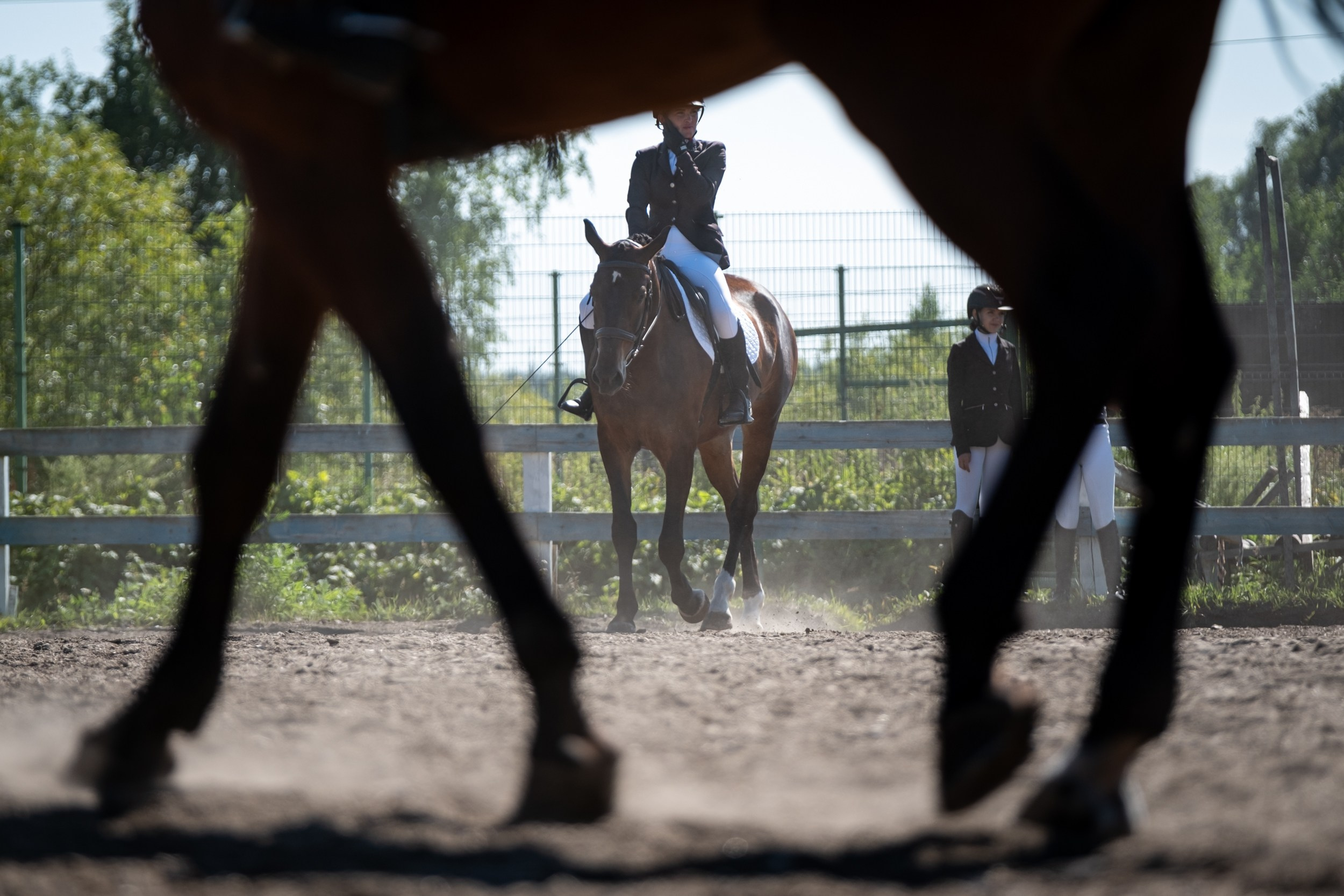 Конный спорт. Nikita Goltsov — Photographer