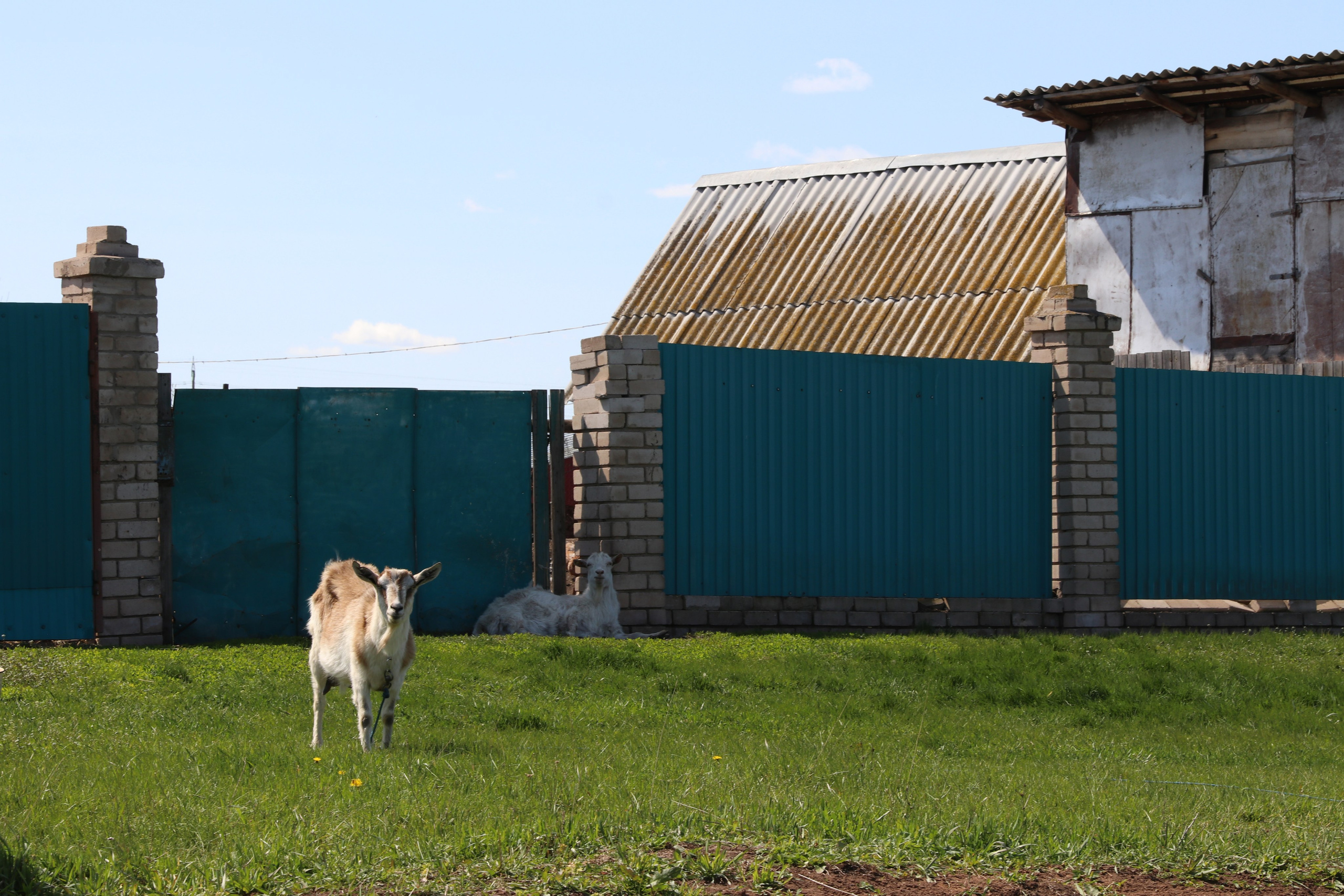 Велопоход Уфа — Мелеуз. Май 2024. Путешественник-фотограф из Санкт-Петербурга Татьяна Свистулина