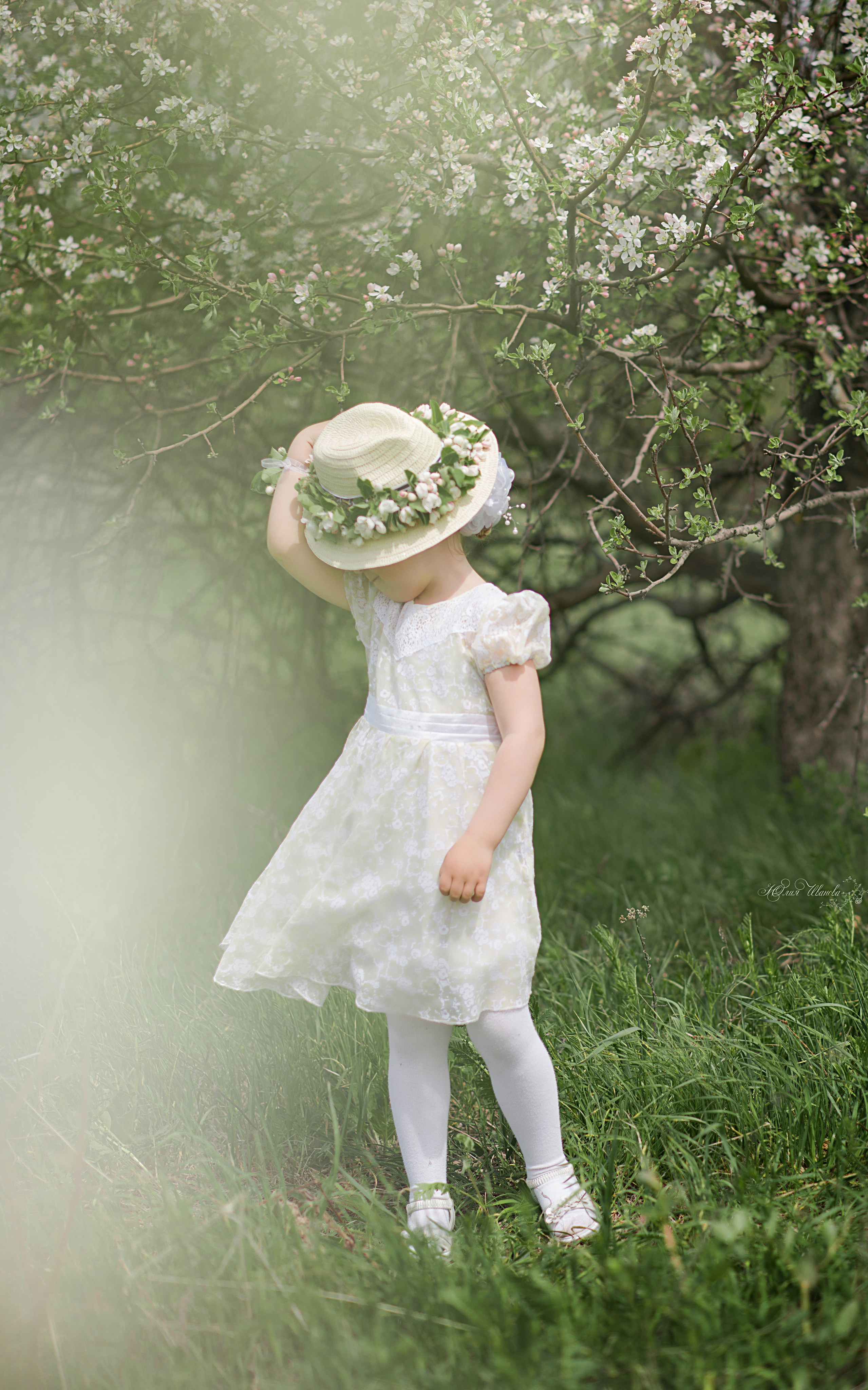 Разные фотосъемки. Конный фотограф в Саратове Юлия Иванова