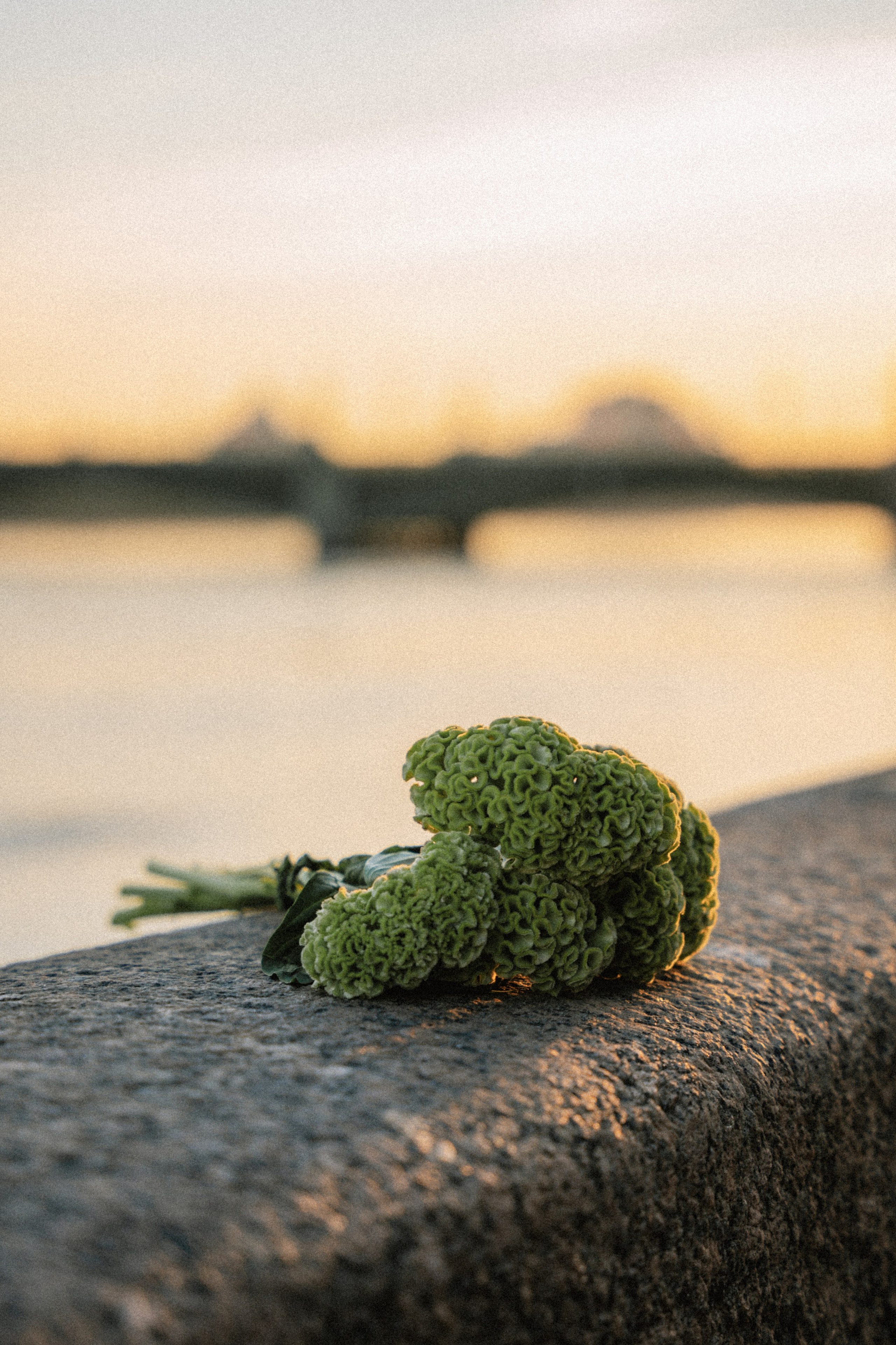 Индивидуальные съемки. Фотограф и видеограф в Санкт-Петербурге и Москве Виктория Горячева