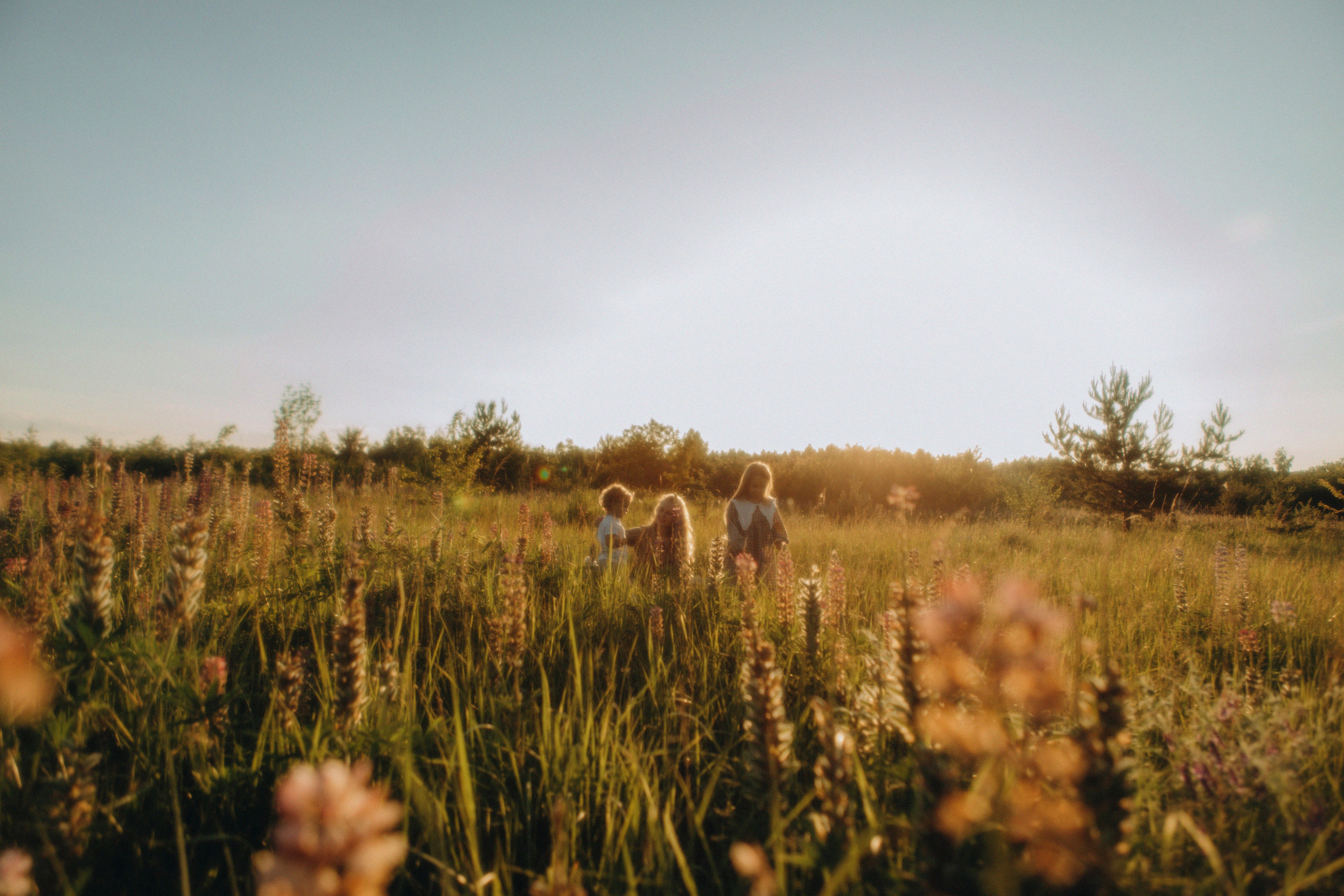 Теплота объятий. Свадебный и семейный фотограф Арестенко Анастасия