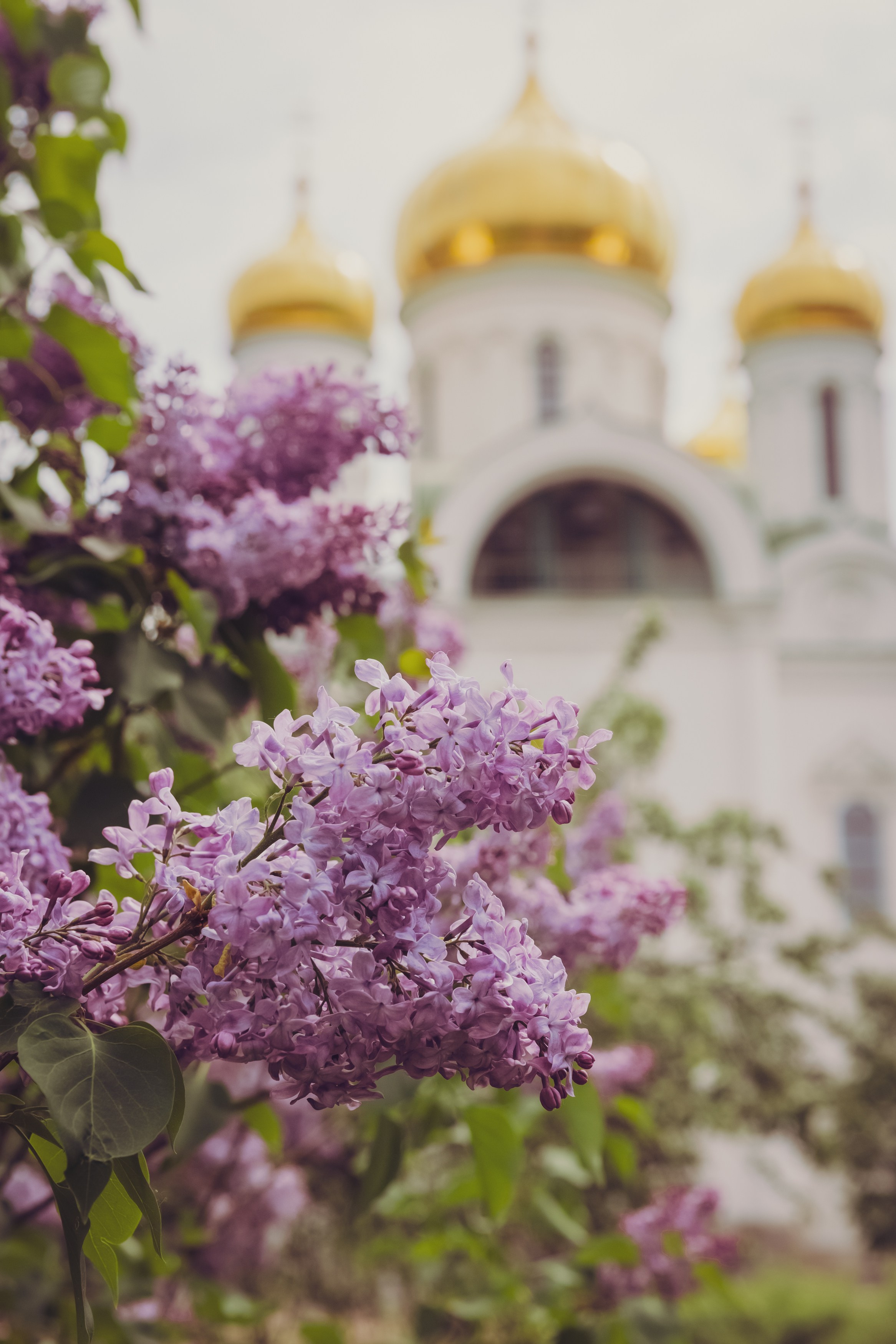 Екатерининский собор. Свадебный фотограф, крещение, венчание СПБ, Белгород Анна Коршунова