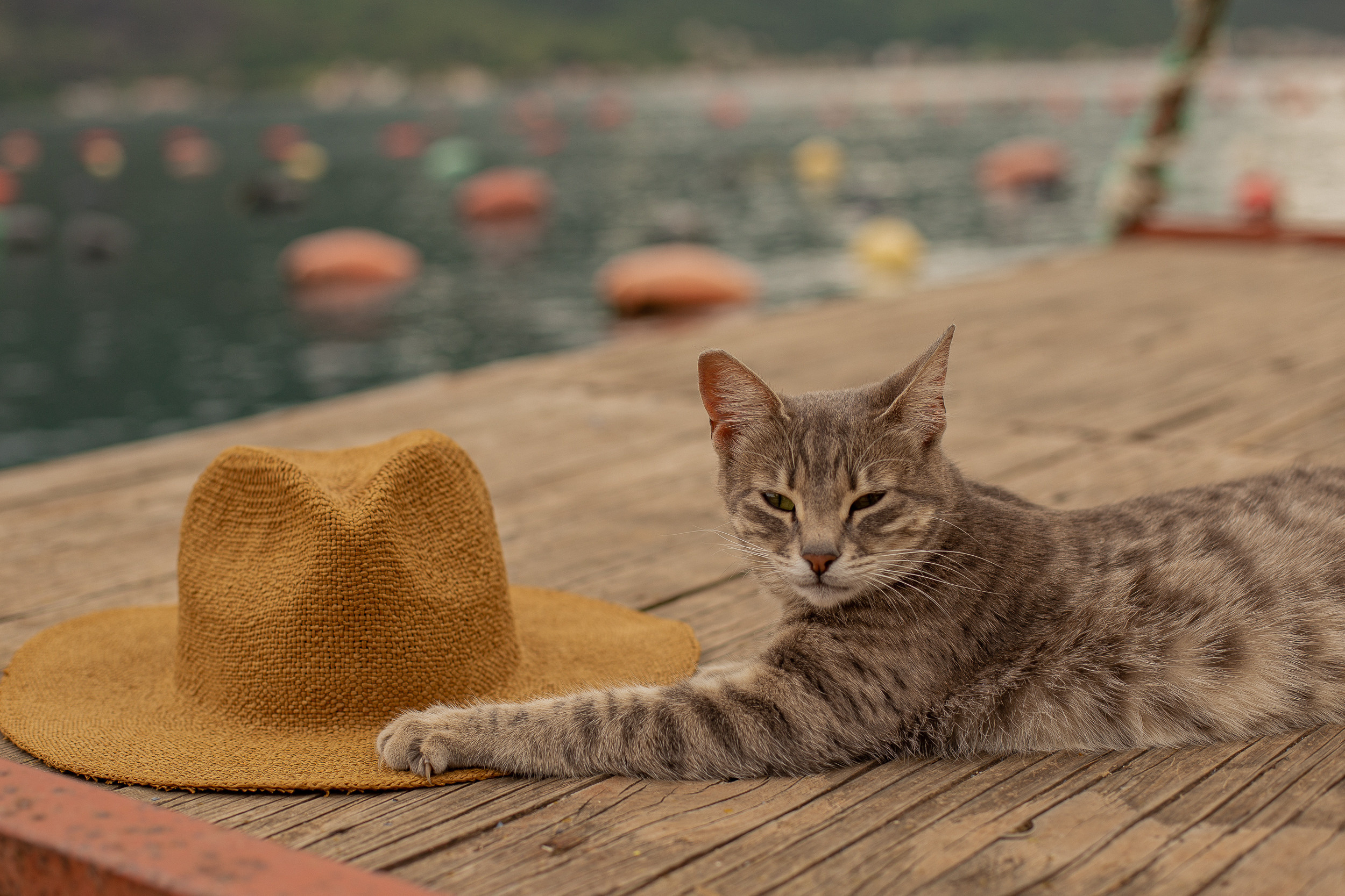 Kotor photographer in Montenegro. Fotograf u Crnoj Gori-porodično fotografisanje sa djecom, lovestory, nekretnine