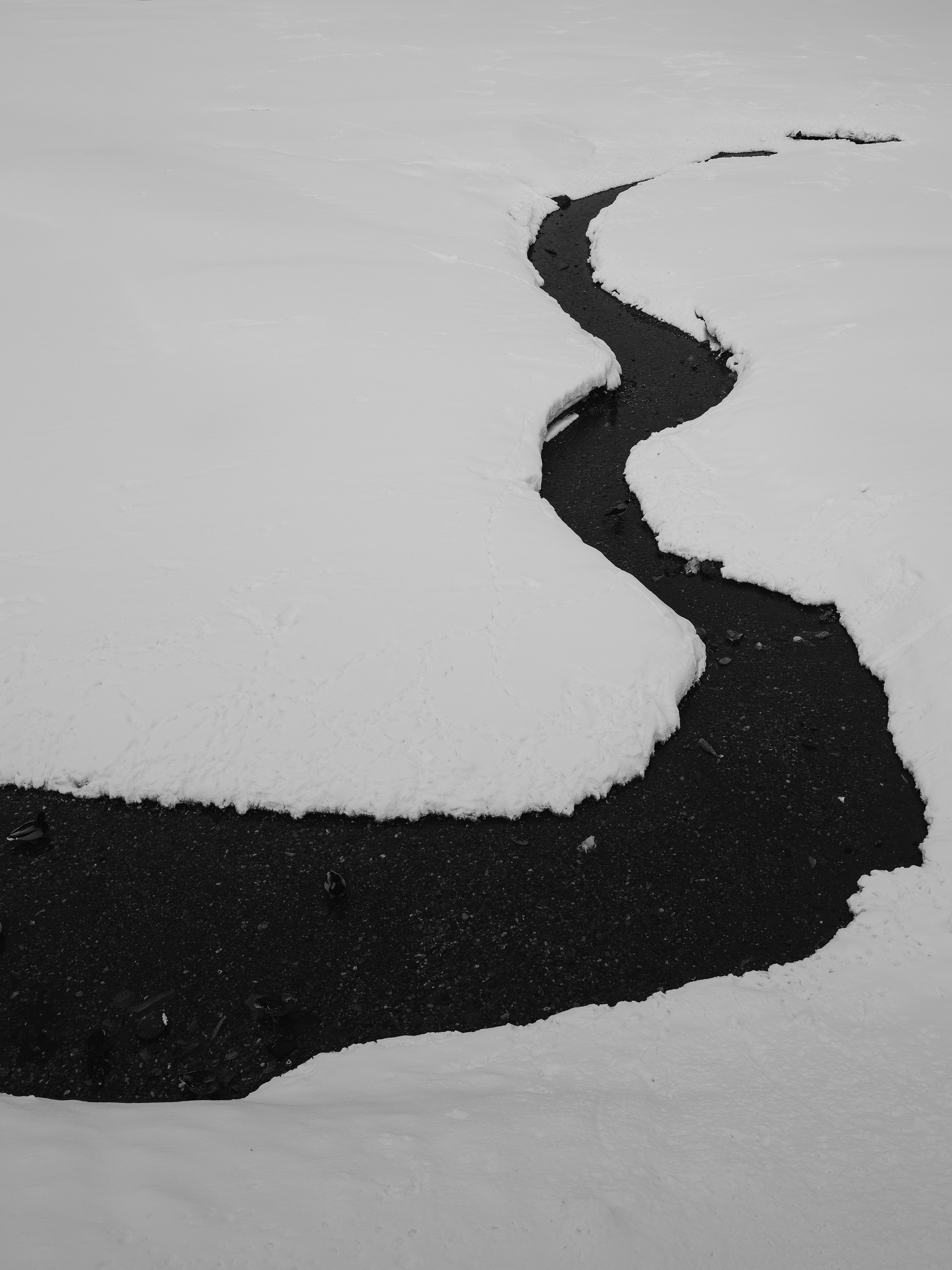 Стрит. Фотограф Алексей Шрайбик