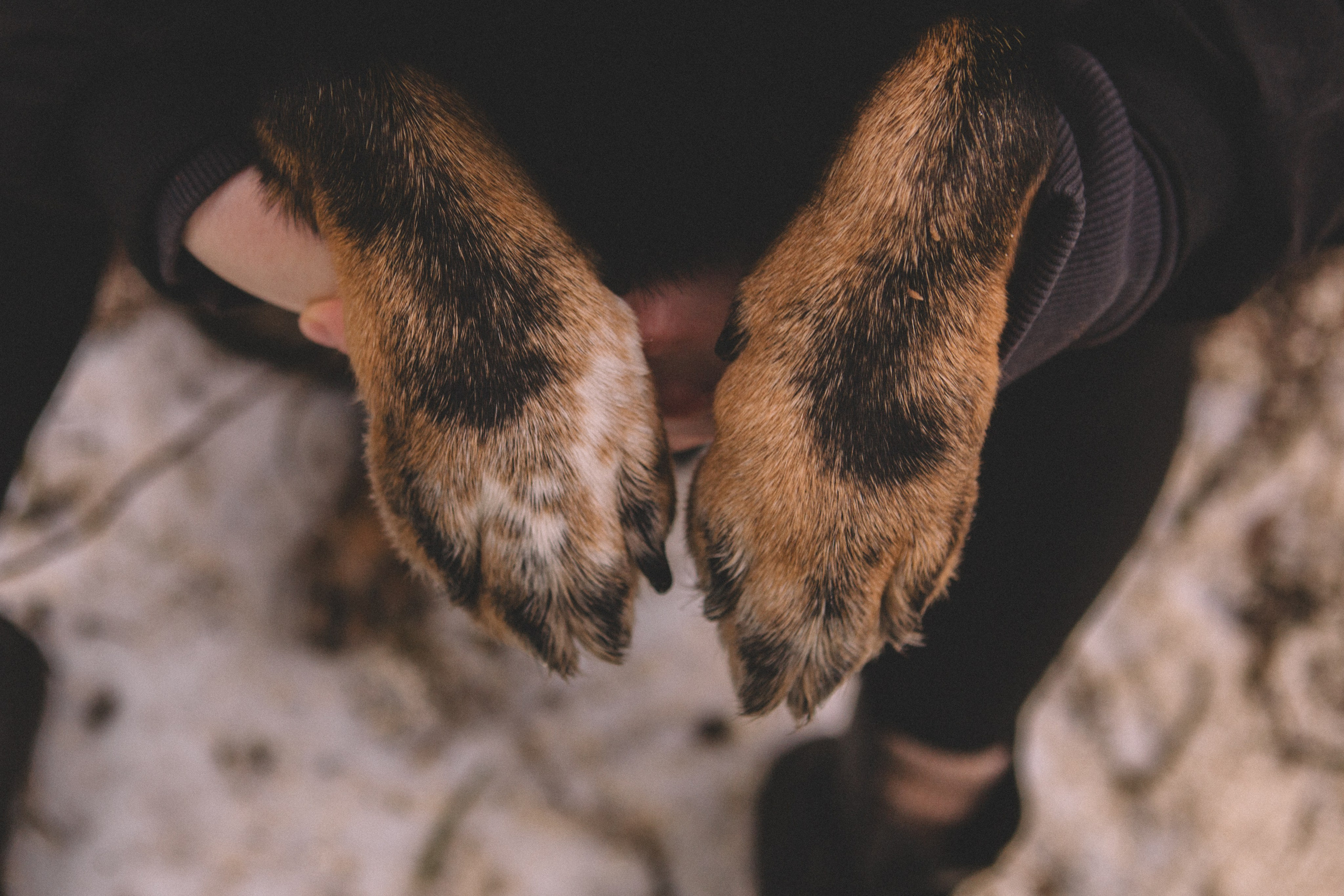 Alyona & Felix. Portrait, family and pet photographer in Cyprus, Ksenia Bourdelle