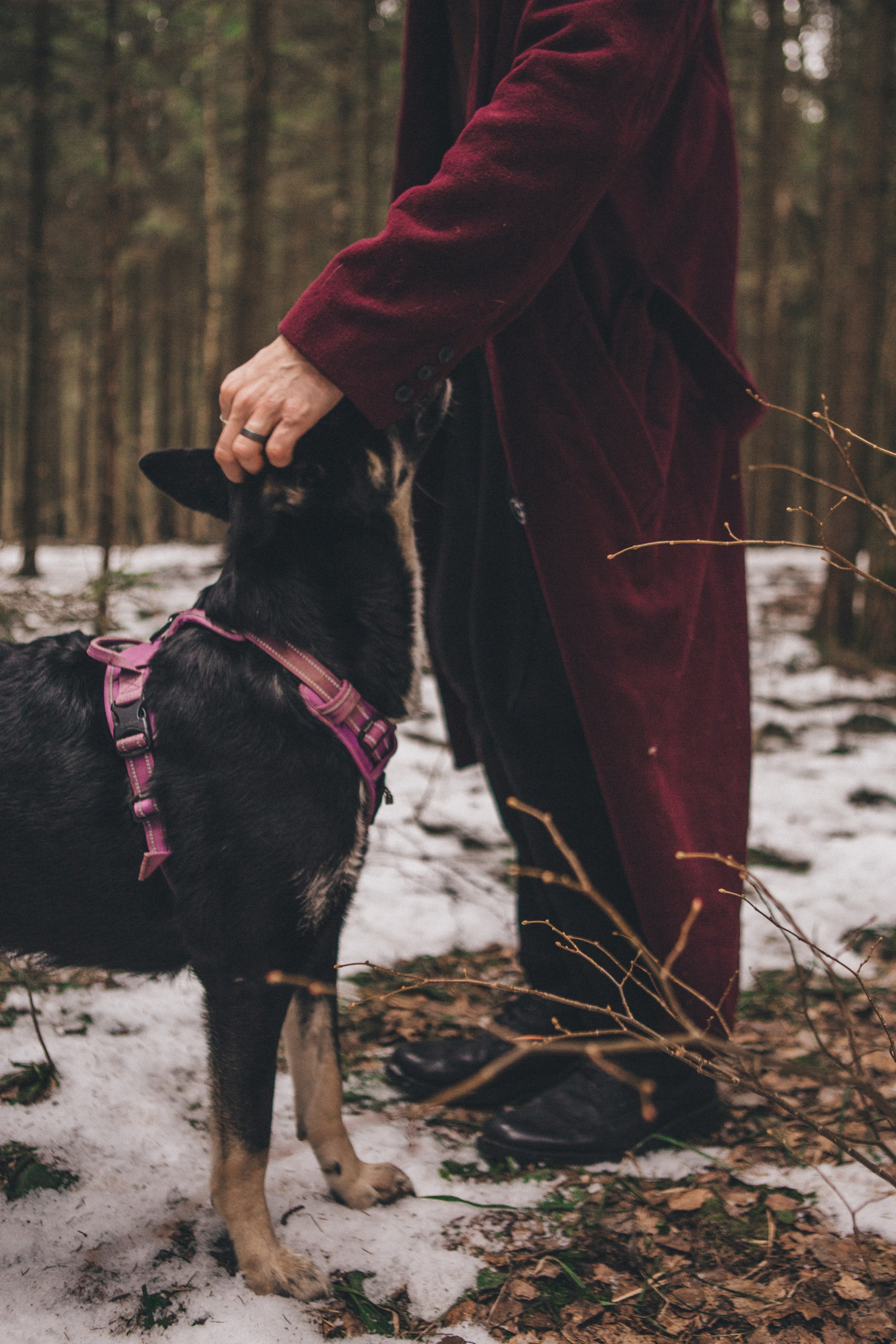 A cinematic tale of true love and unbreakable friendship between a man and a dog. Portrait, family and pet photographer in Cyprus, Ksenia Bourdelle