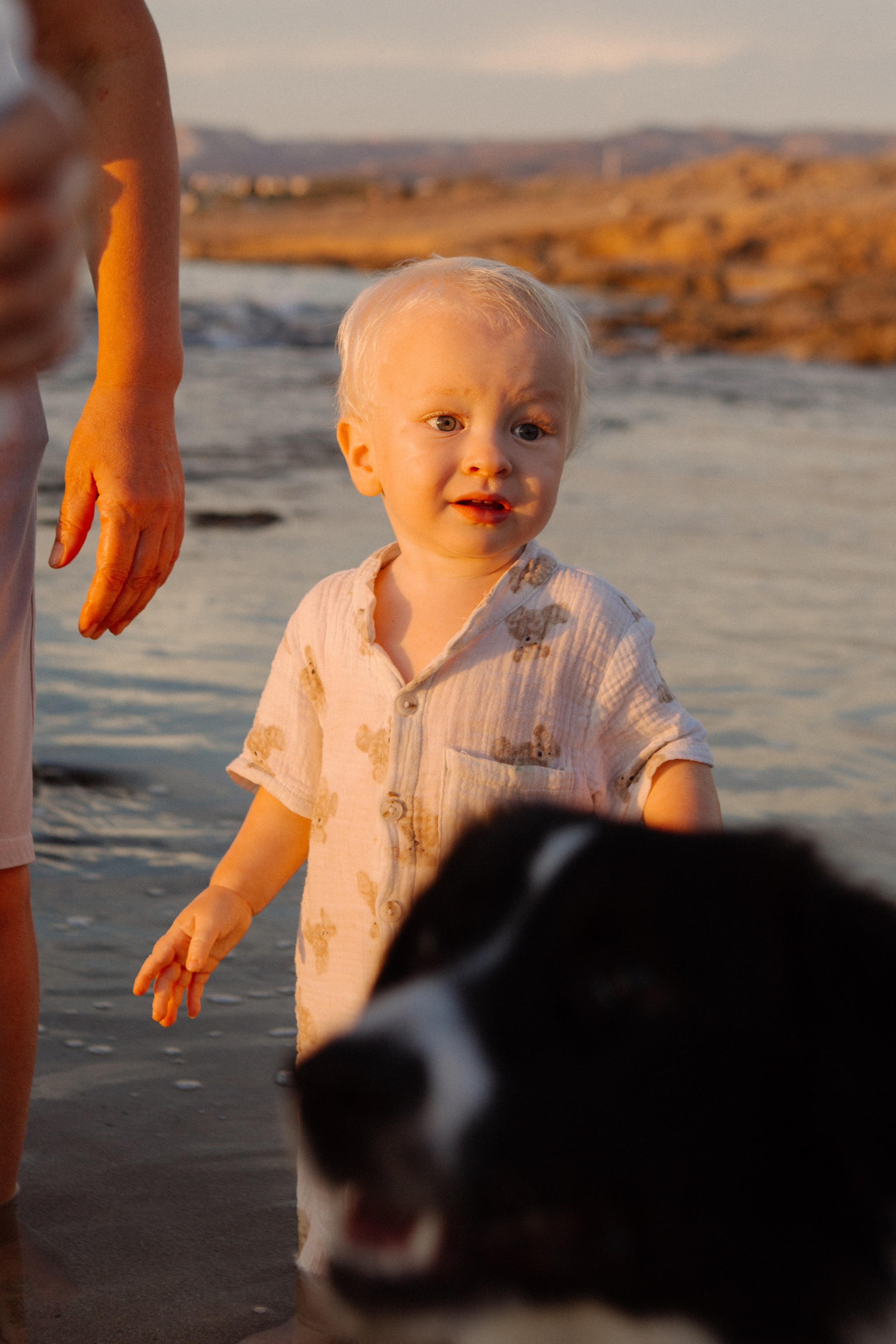 Melymko fam. Portrait, family and pet photographer in Cyprus, Ksenia Bourdelle