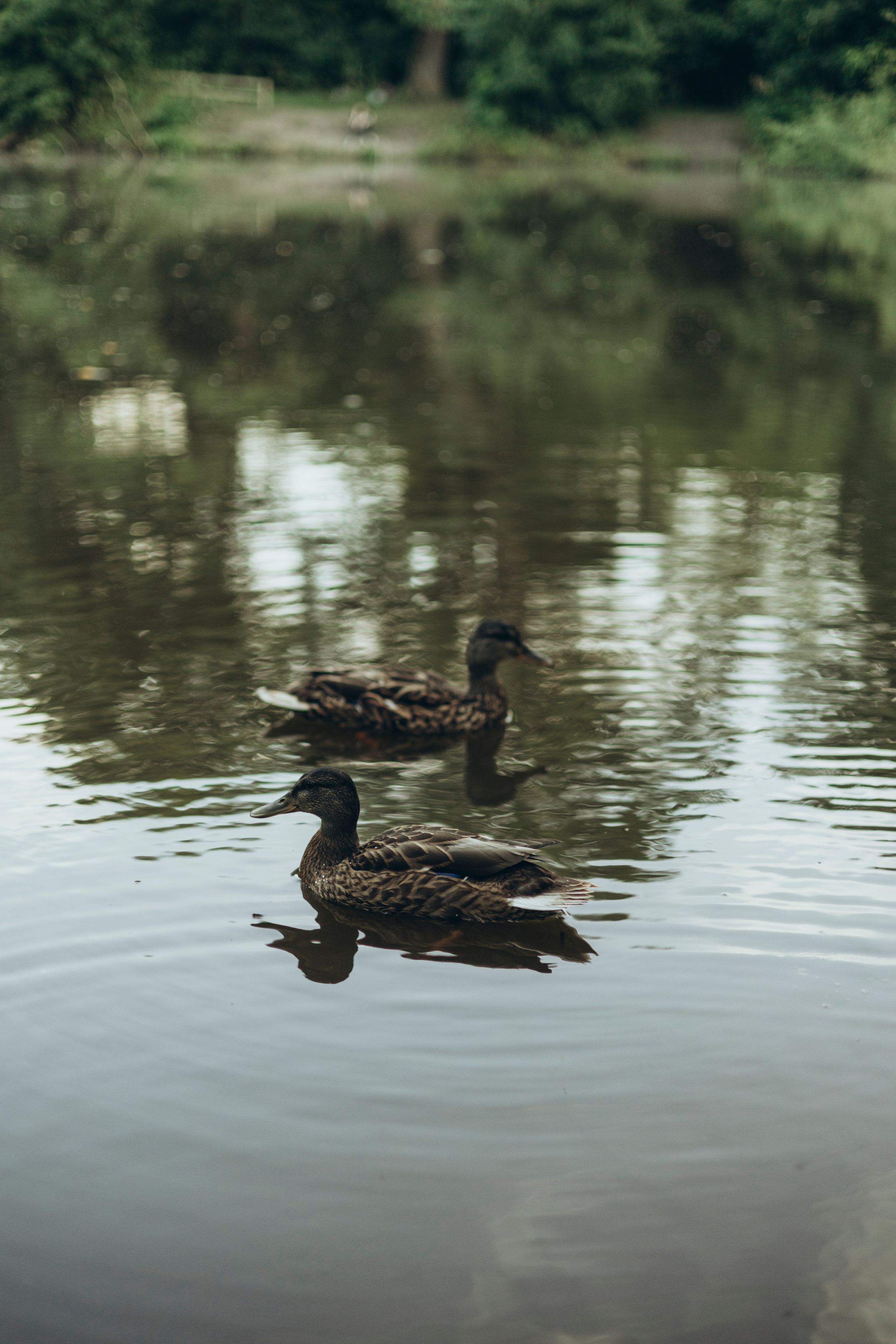 Кристина. Майорова Валерия Фотограф Ставрополь