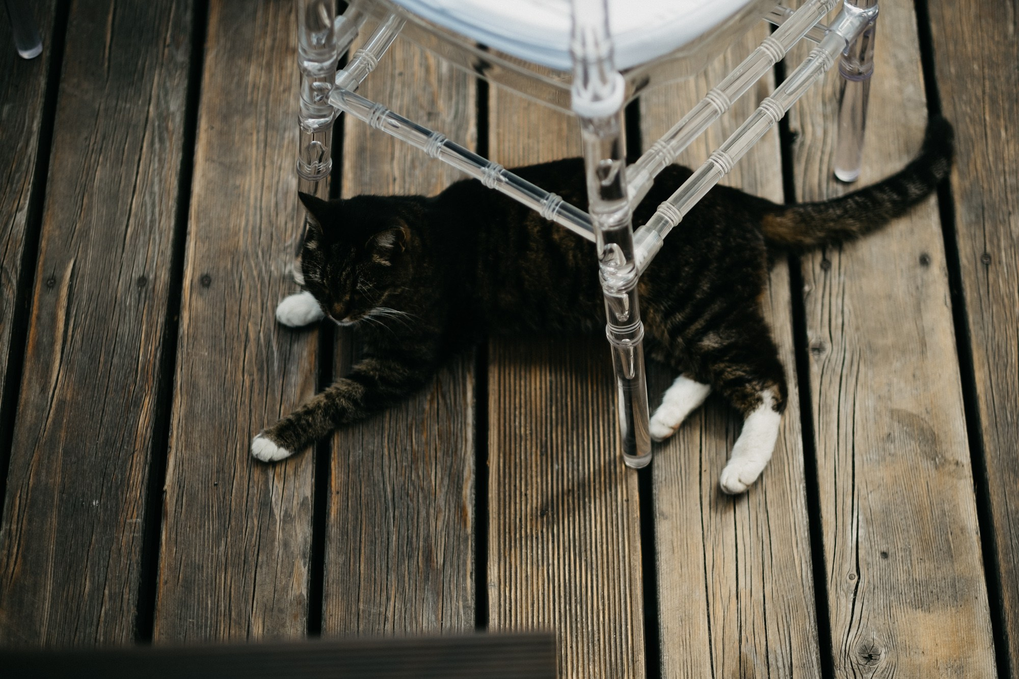 Настя и Тимофей. Свадебный фотограф Александра Тюлякова