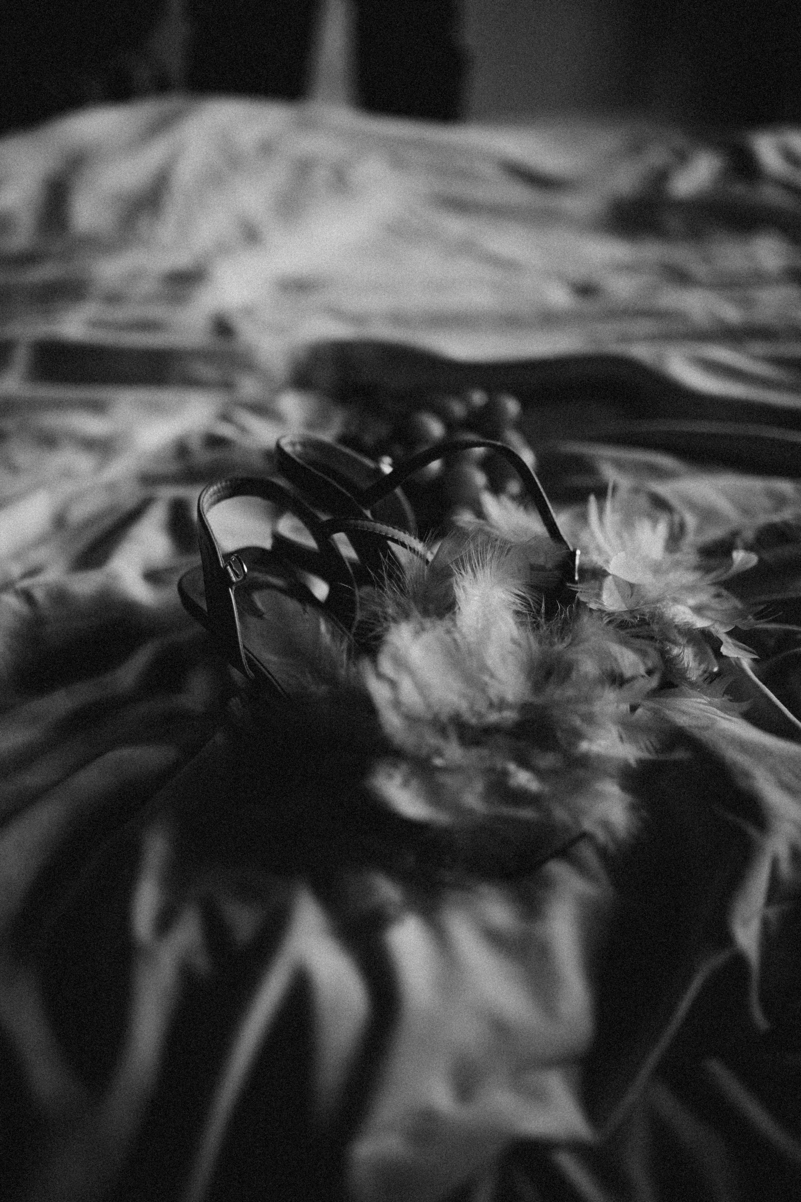 Маша & Саша. Камерная свадьба. Фотограф НОГИНСК, Москва, Анастасия Белая