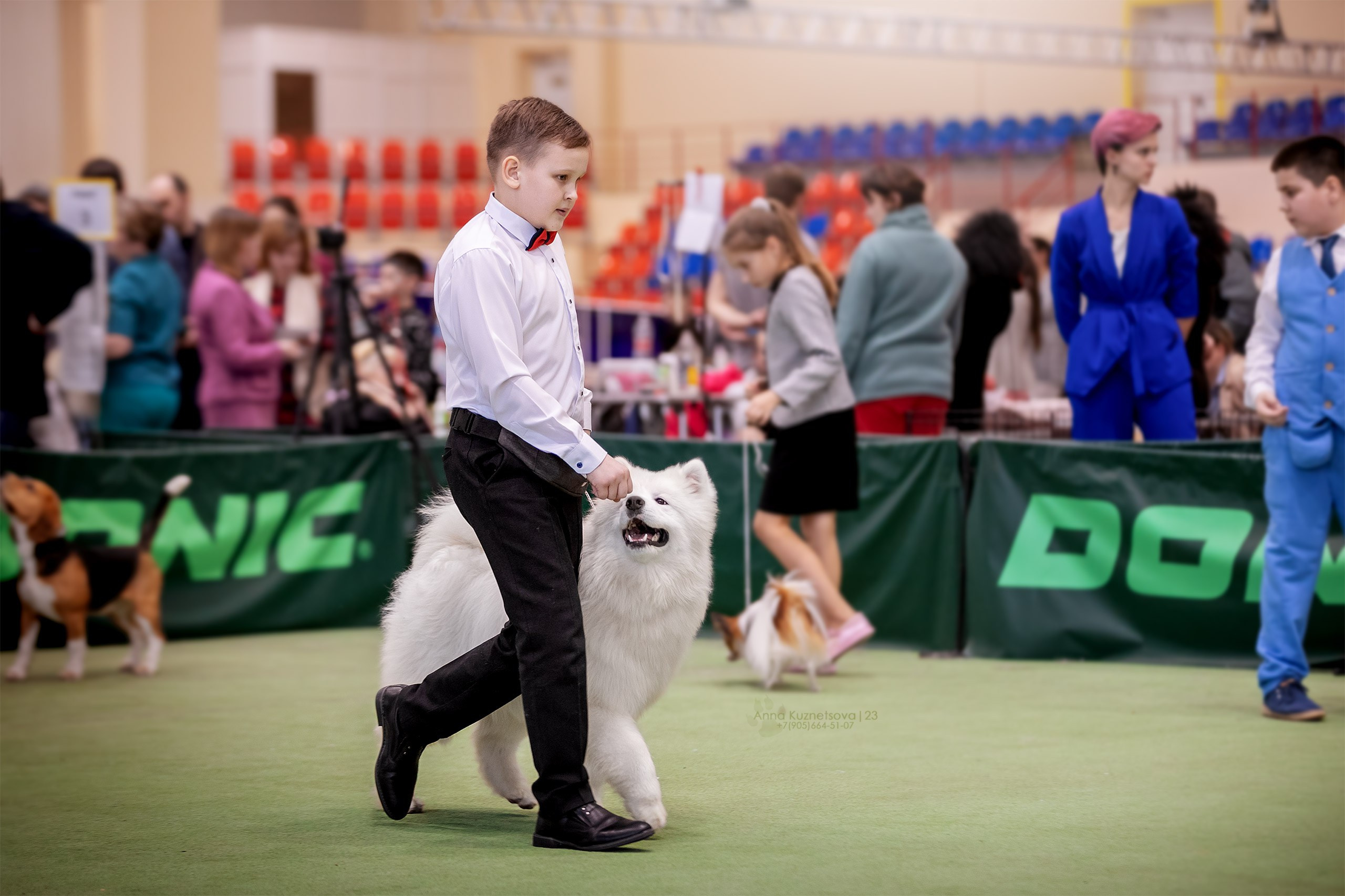 В ринге. Фотограф анималист Кузнецова Анна Нижний Новгород